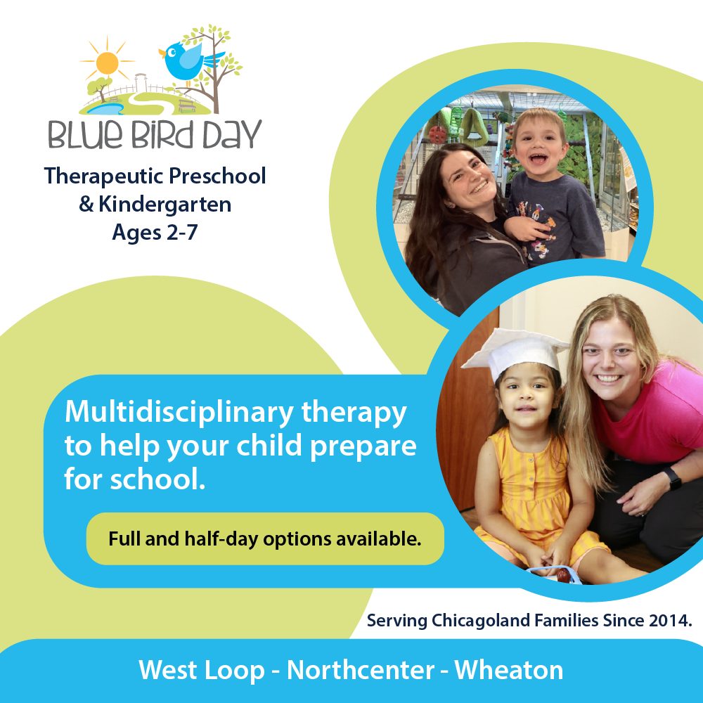 Blue Bird Day Wheatonnull