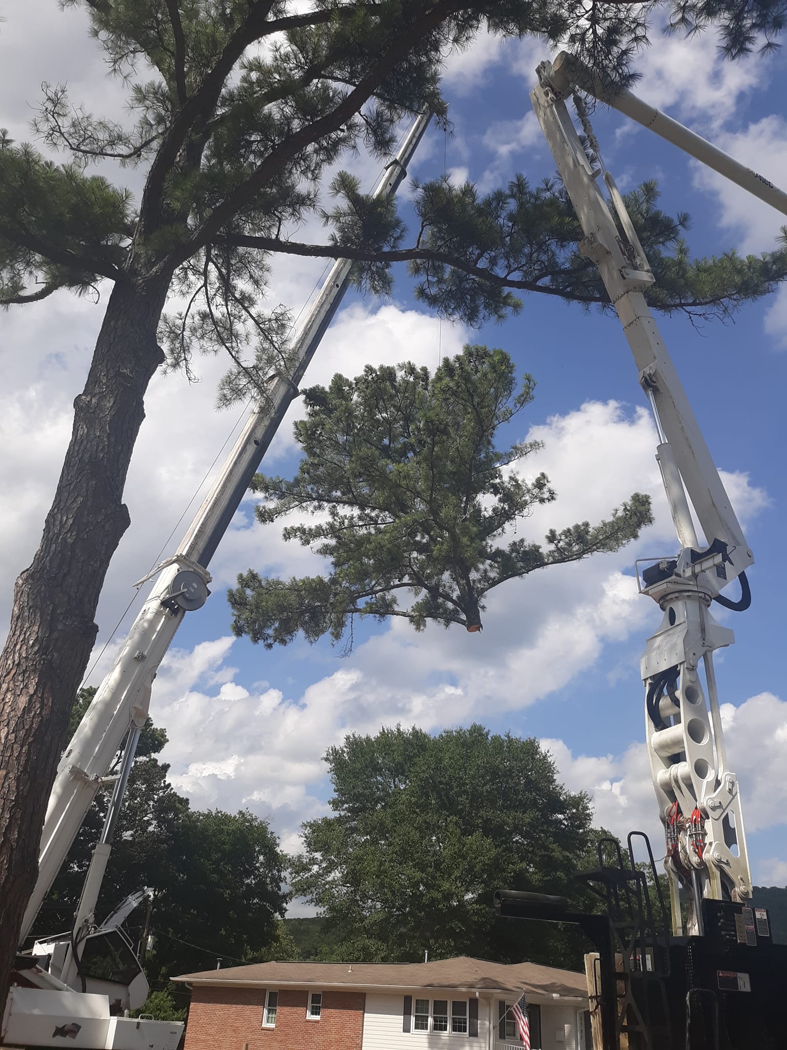 Five Points Tree Service | Huntsville AL
