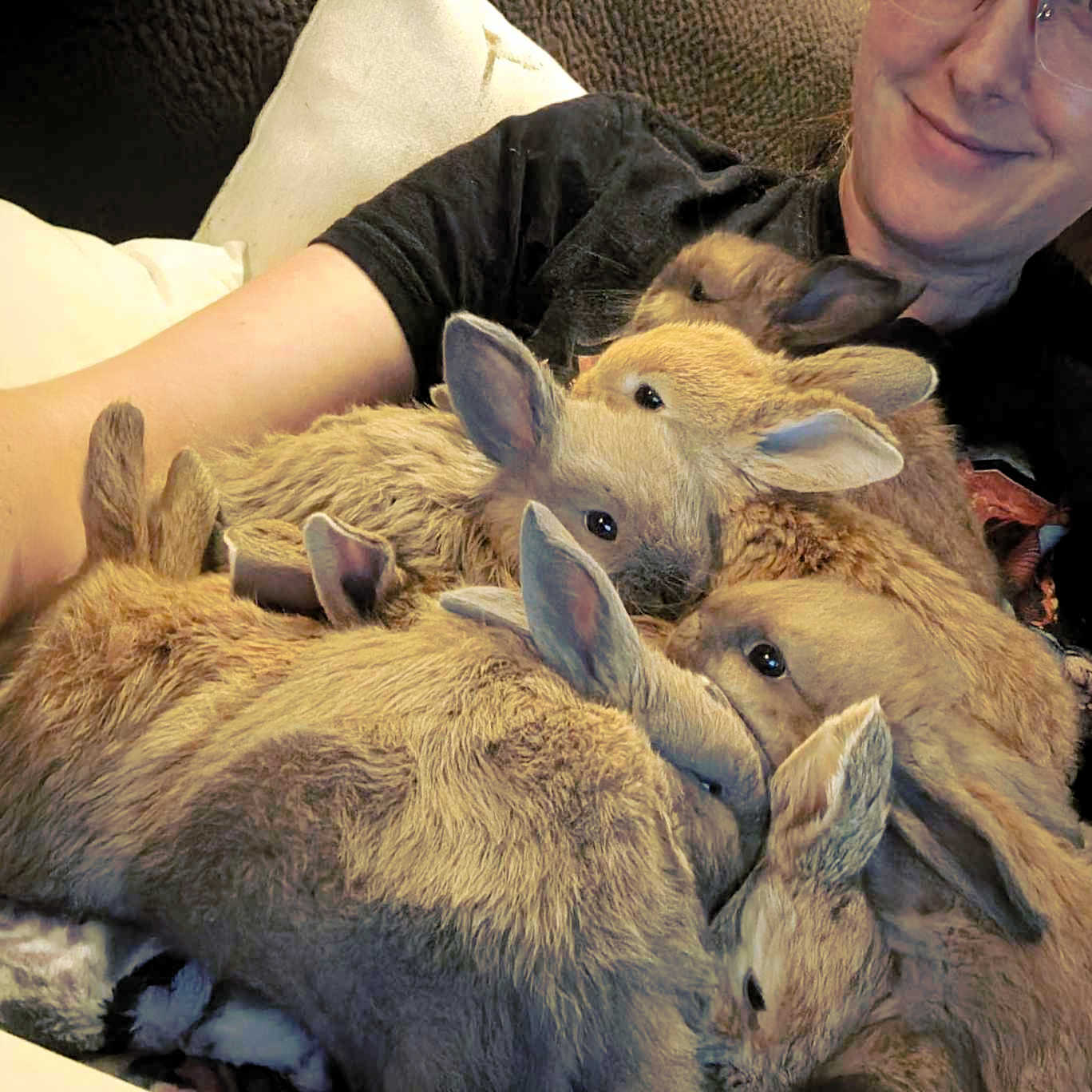 Please join us in welcoming... - Rose City Rabbit Rescue | Facebook