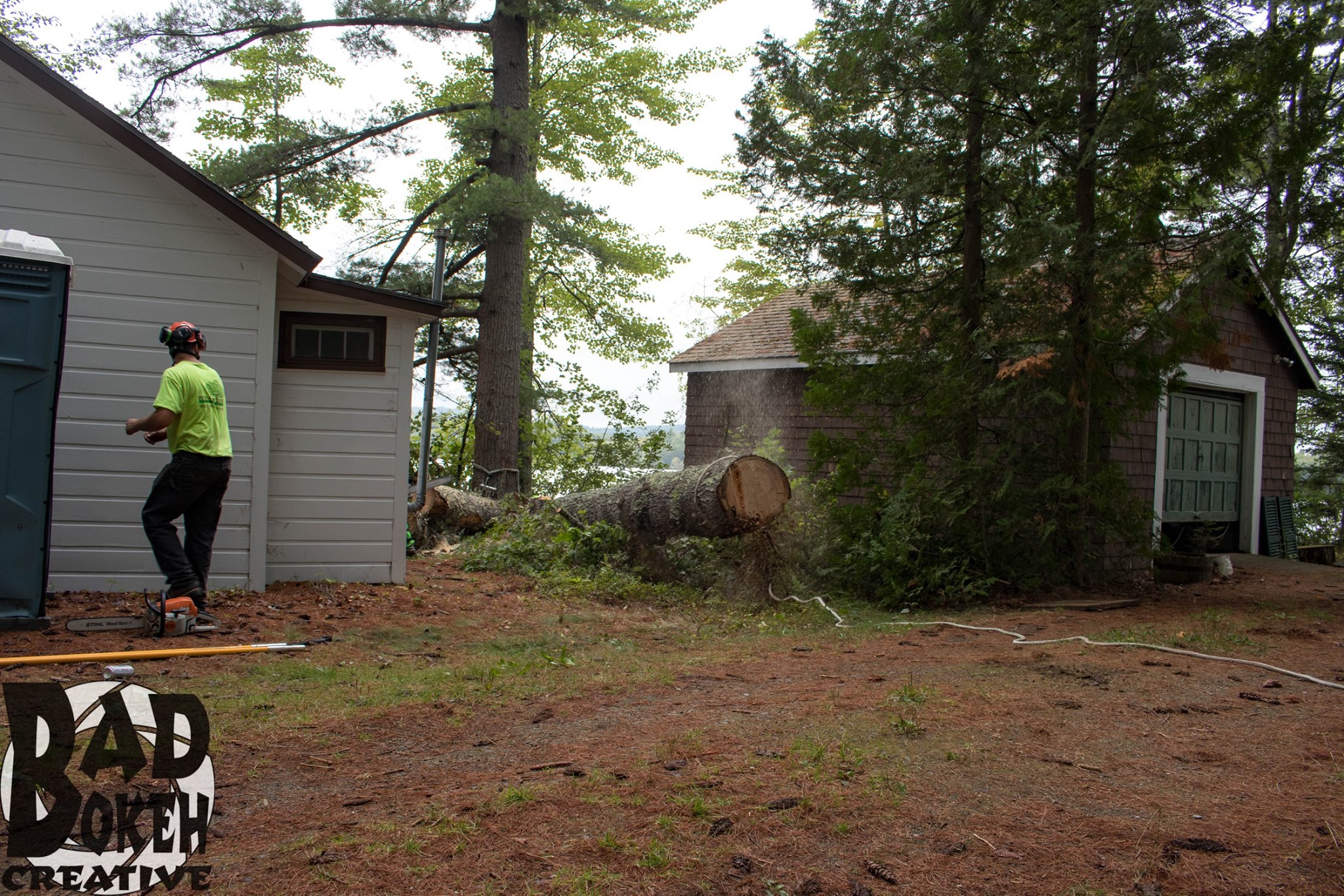 Pinnacle Tree | Hallowell ME