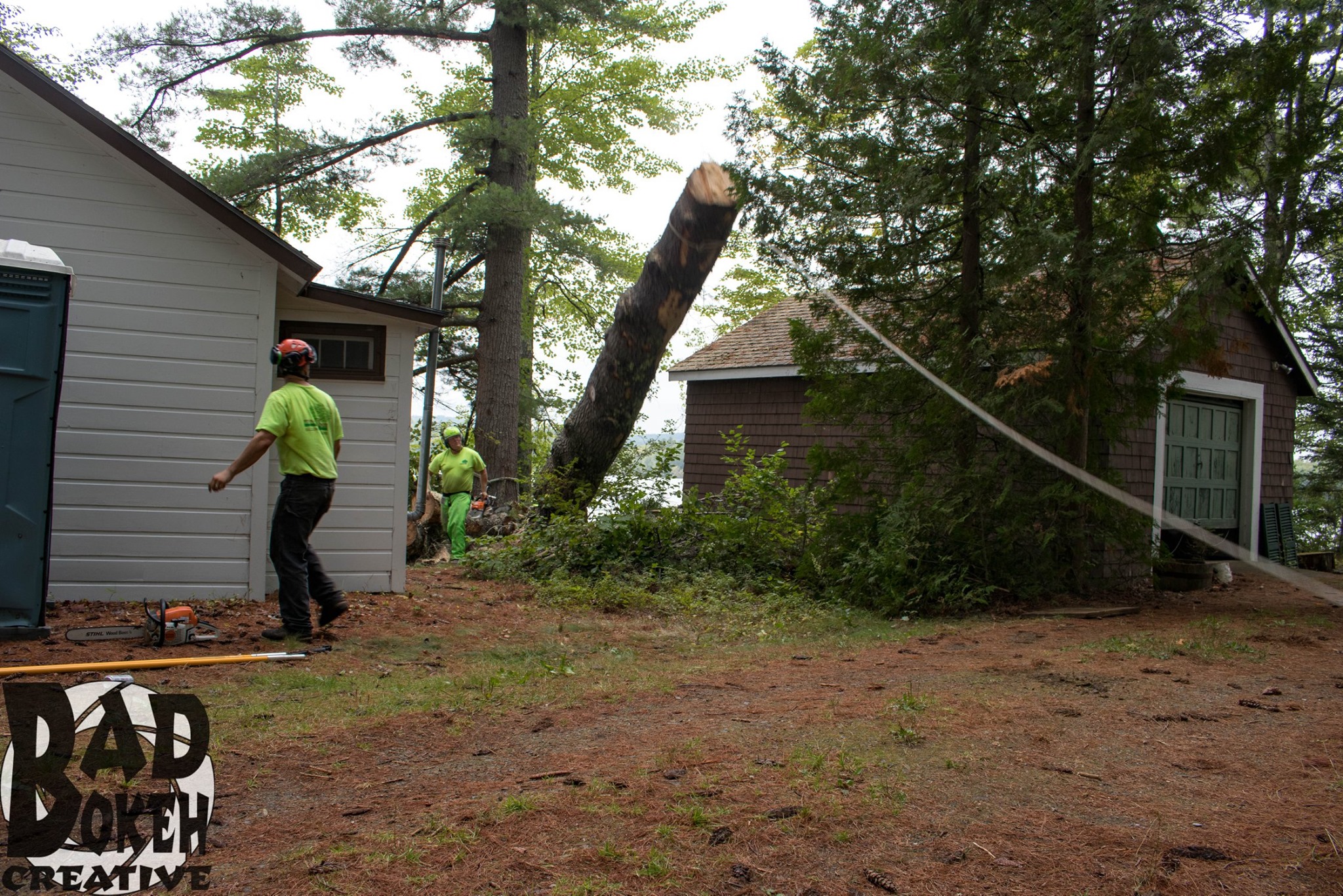 Pinnacle Tree | Hallowell ME