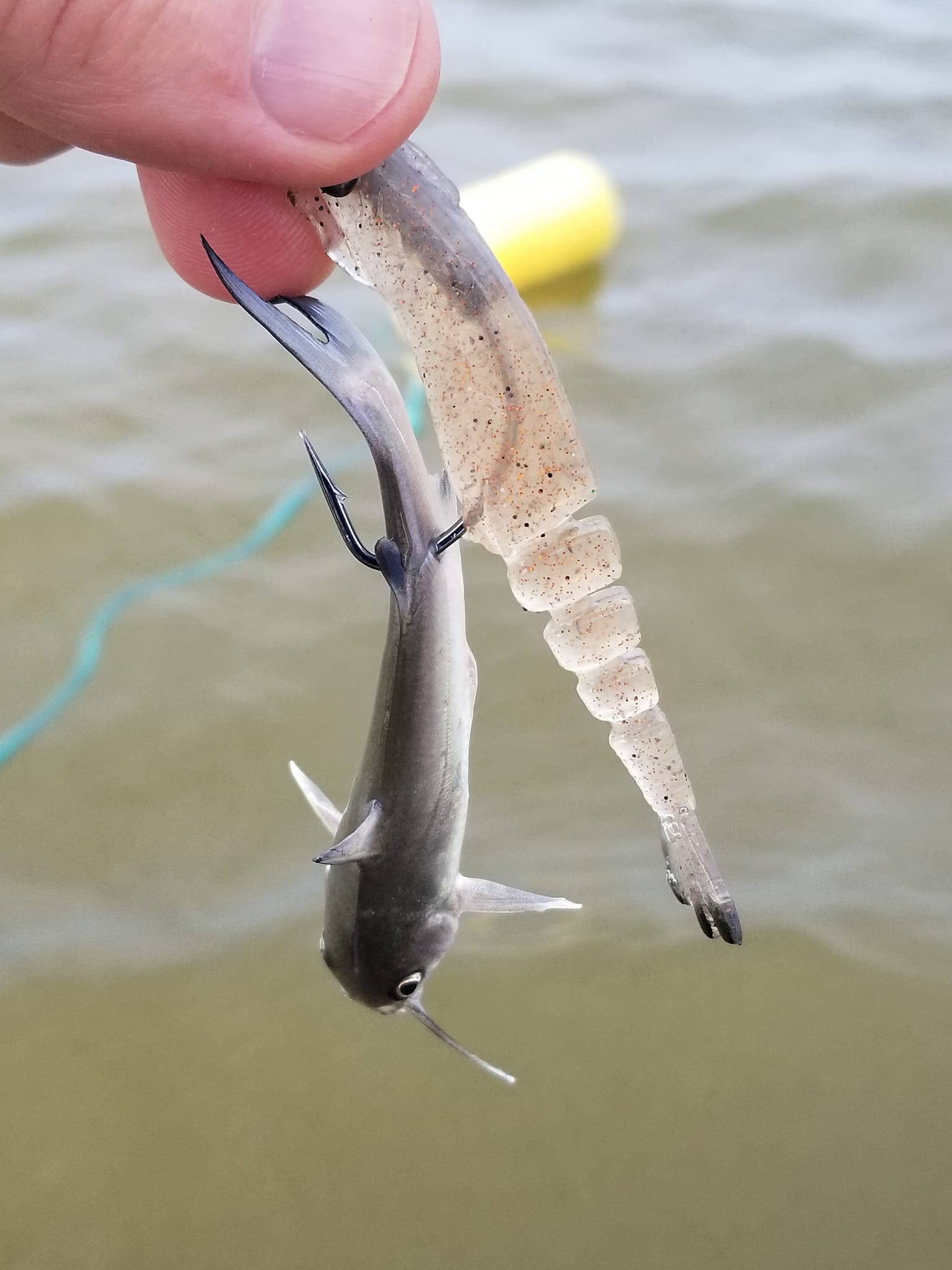 fish lure thief Bandit Walleye Deep Wild Thing day or night Westin - 7,5cm/18g - Diamond