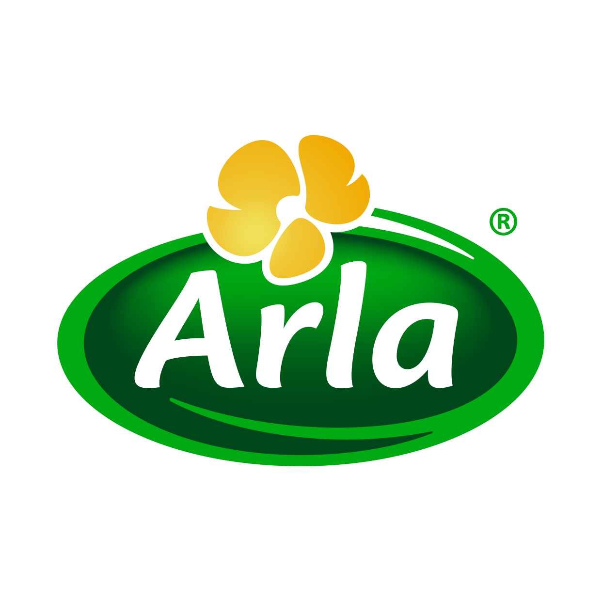 Arla Careers - Through the IT & Digital Graduate... | Facebook