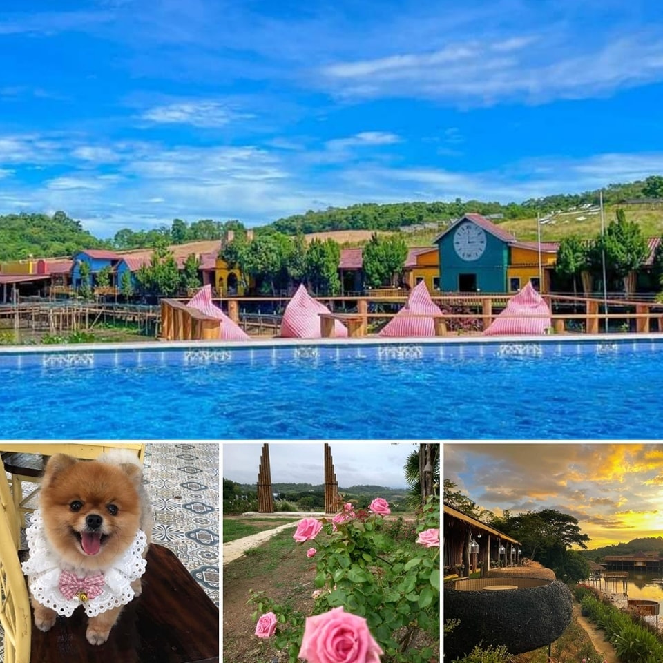 พาหมาแมวเที่ยว - (( น้องหมาพักฟรี )) ฟลาวเวอร์เมาน์เทน... | Facebook