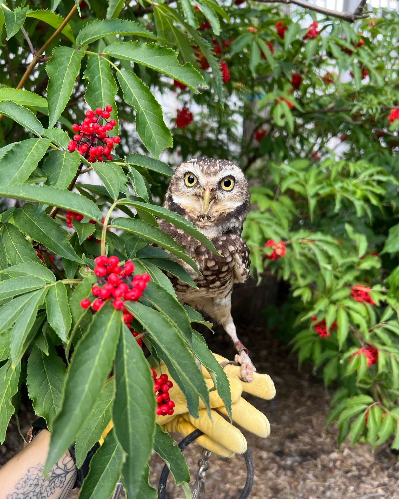 Meet the one and only... - Valley Zoo Development Society | Facebook