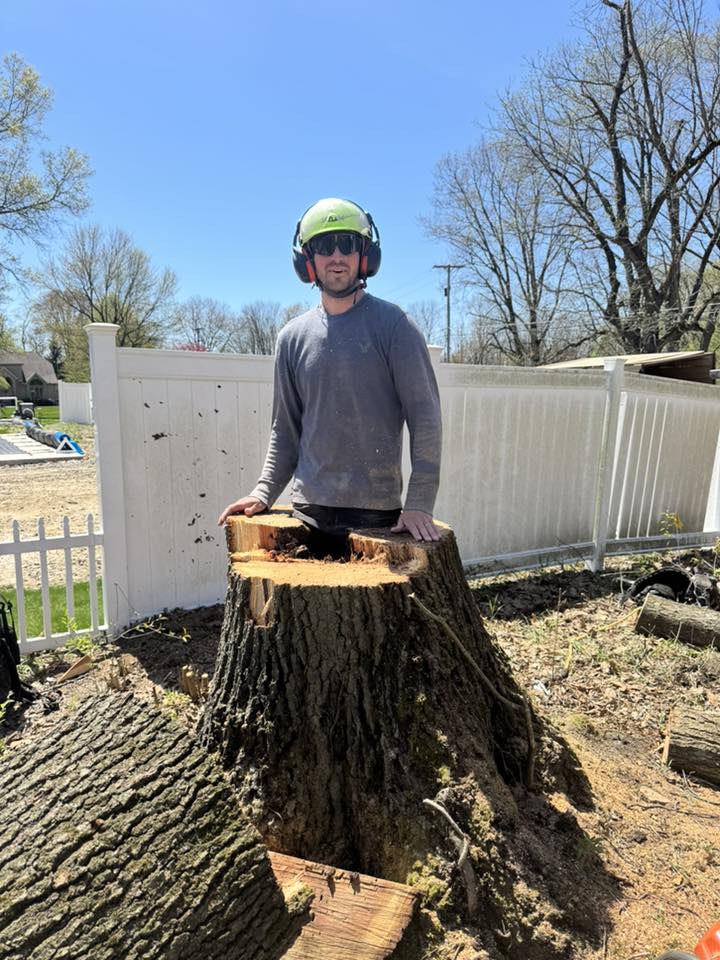 Mild Tree Care