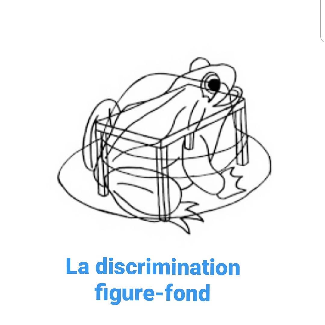 ** La discrimination... - COP9- Dr Stéphanie Zwillinger