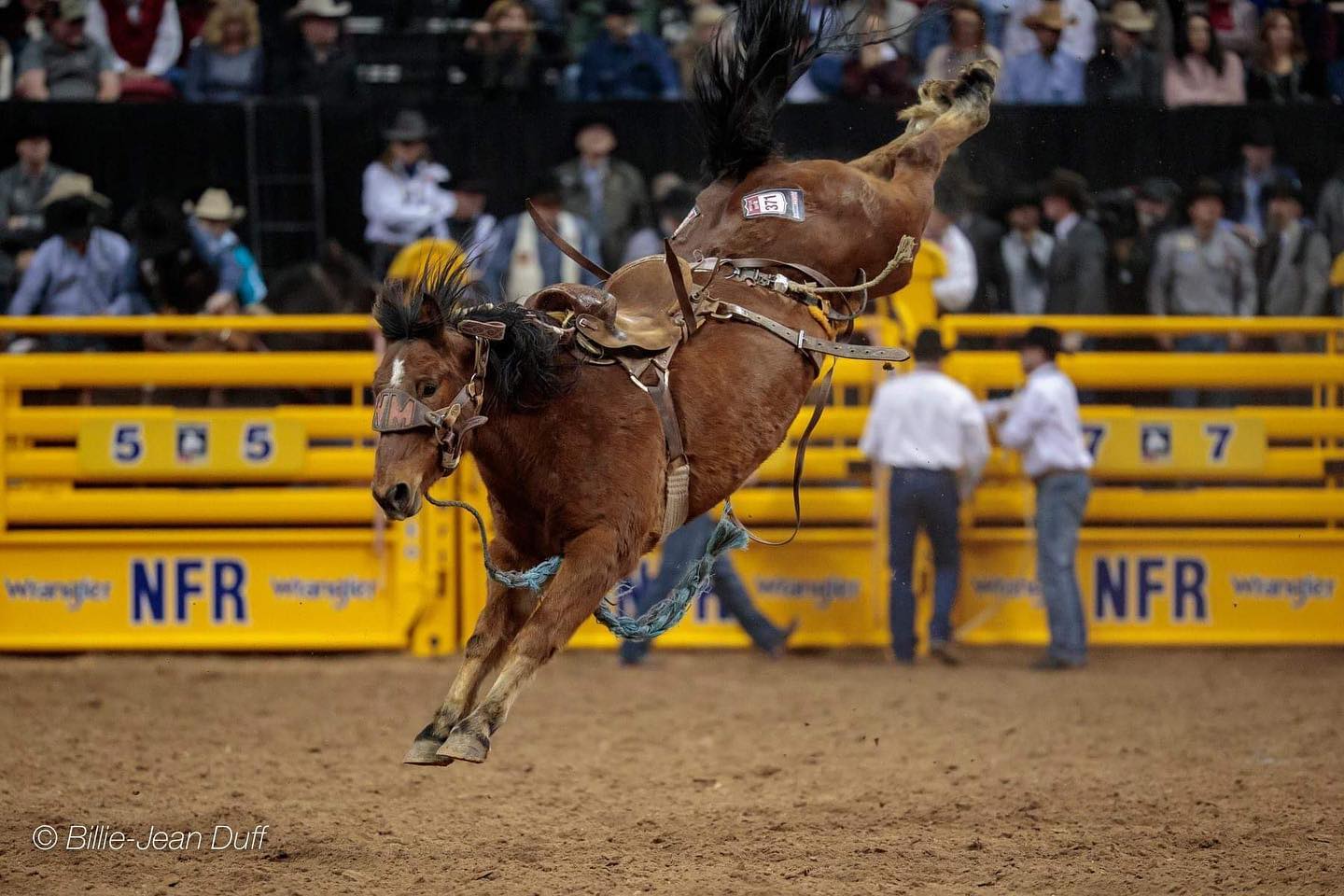 Macza Pro Rodeo - Macza Pro Rodeo has officially joined... | Facebook