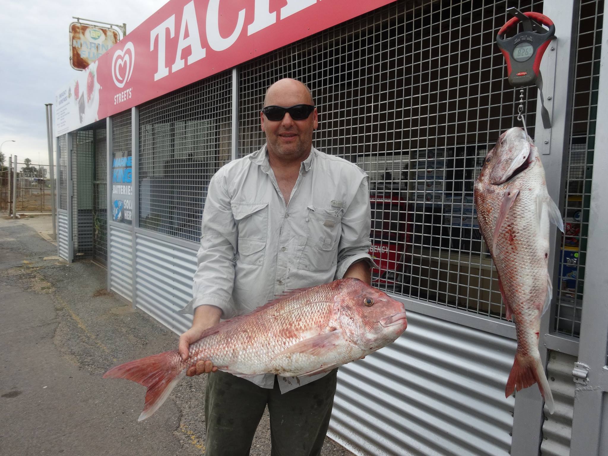 Last entries of the Snapper... - Tackle and Tucker (St Kilda)