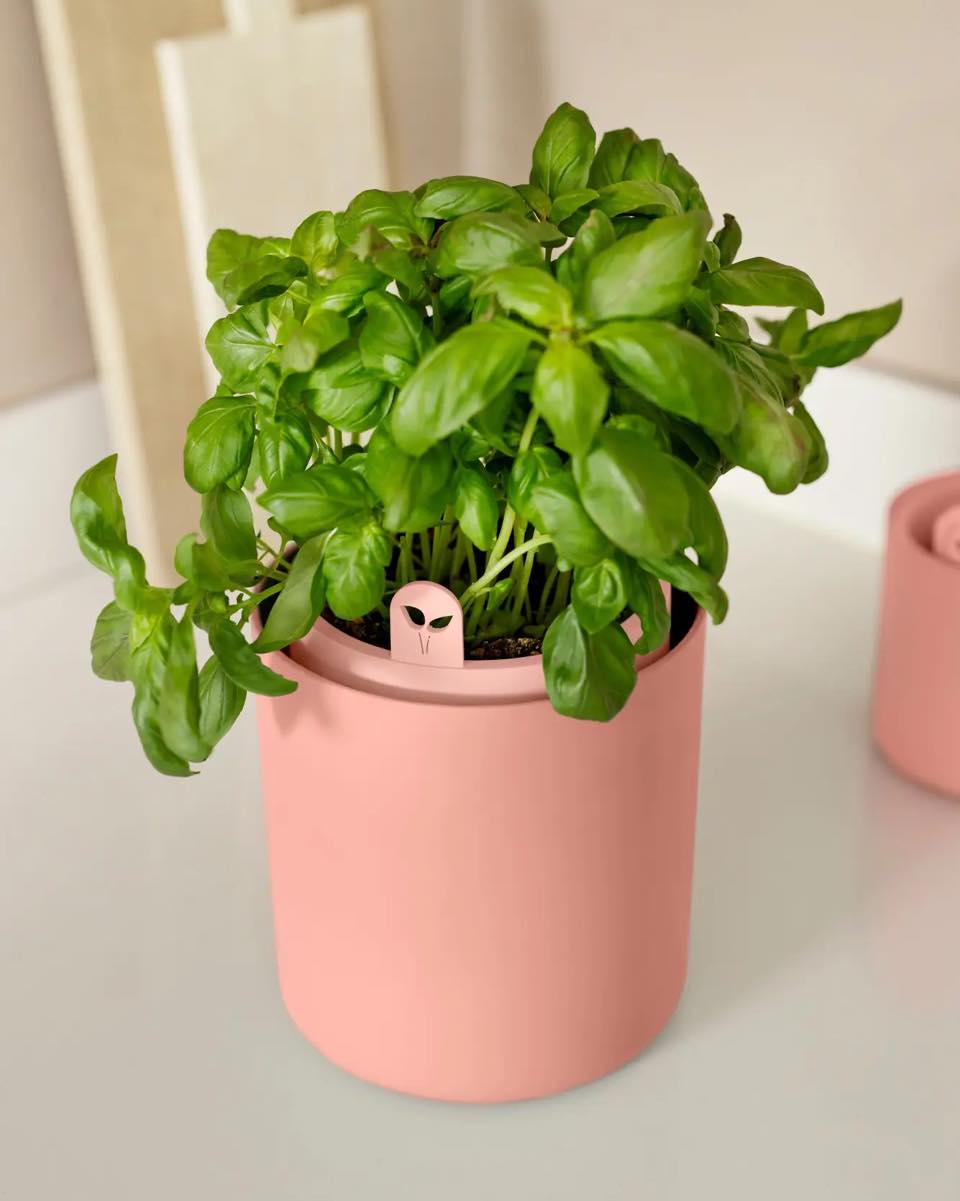 Staub x Minä Perhonen Forest 23cm oval cocotte in Basil. Plants