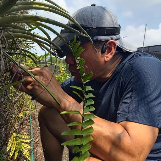 8月初乾爹要來驗收😅 加緊趕工中…… 室外植生牆＋室外景觀＋室內植生牆＋室內景觀🙂 ＃室內景觀專門 ＃室外景觀專門 ＃景觀整合 ＃植物燈 ...