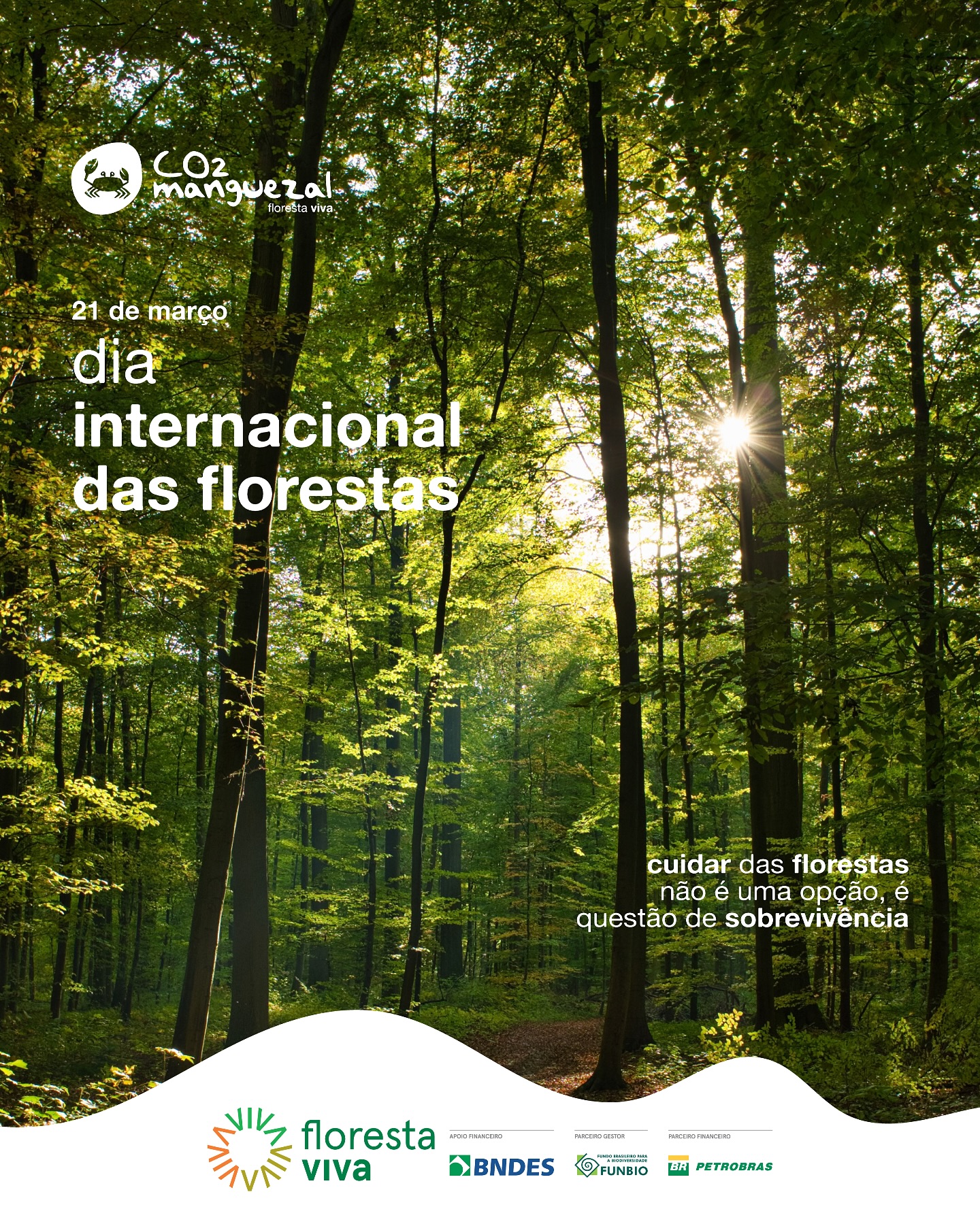 Projeto - Dia Internacional das Florestas! 🌳 🌎 Hoje, celebramos o Dia ...