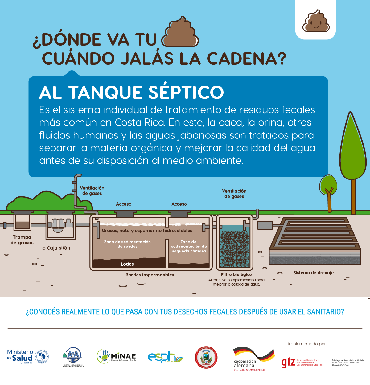 ¿Te has preguntado qué pasa con la 💩💩💩 cuando jalás la cadena? Pues se ...