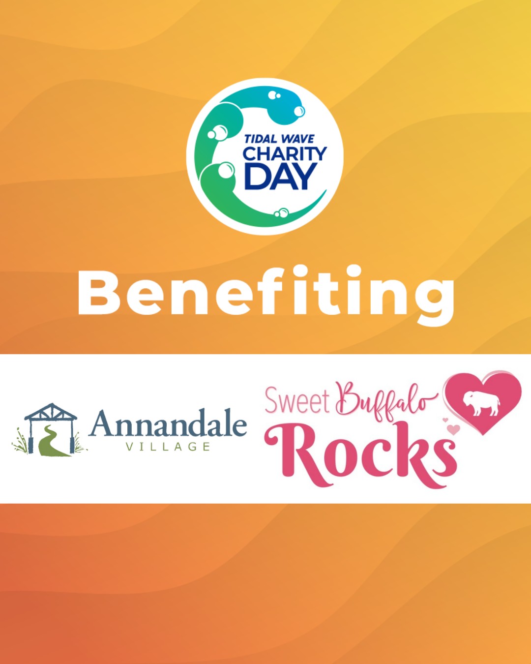 🎉 Meet our Charity Day partner:... - Tidal Wave Auto Spa | Facebook