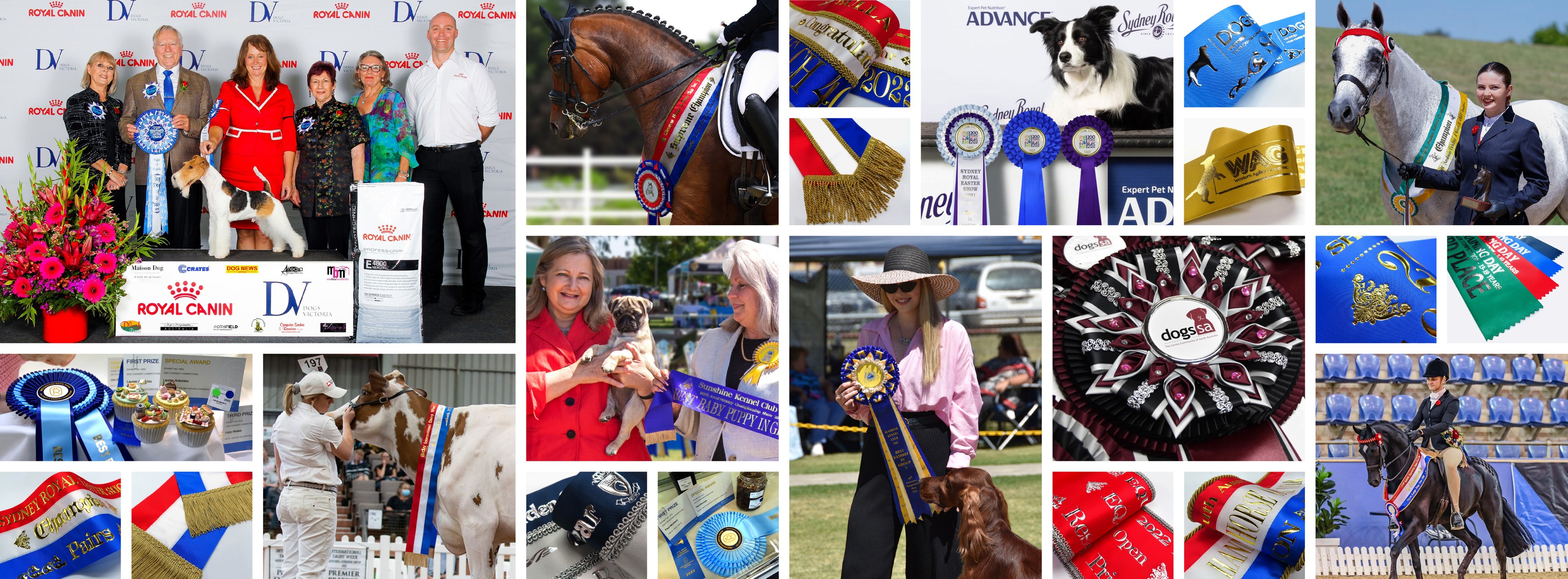 Computer Sashes Rosettes & Awards | Thomastown VIC