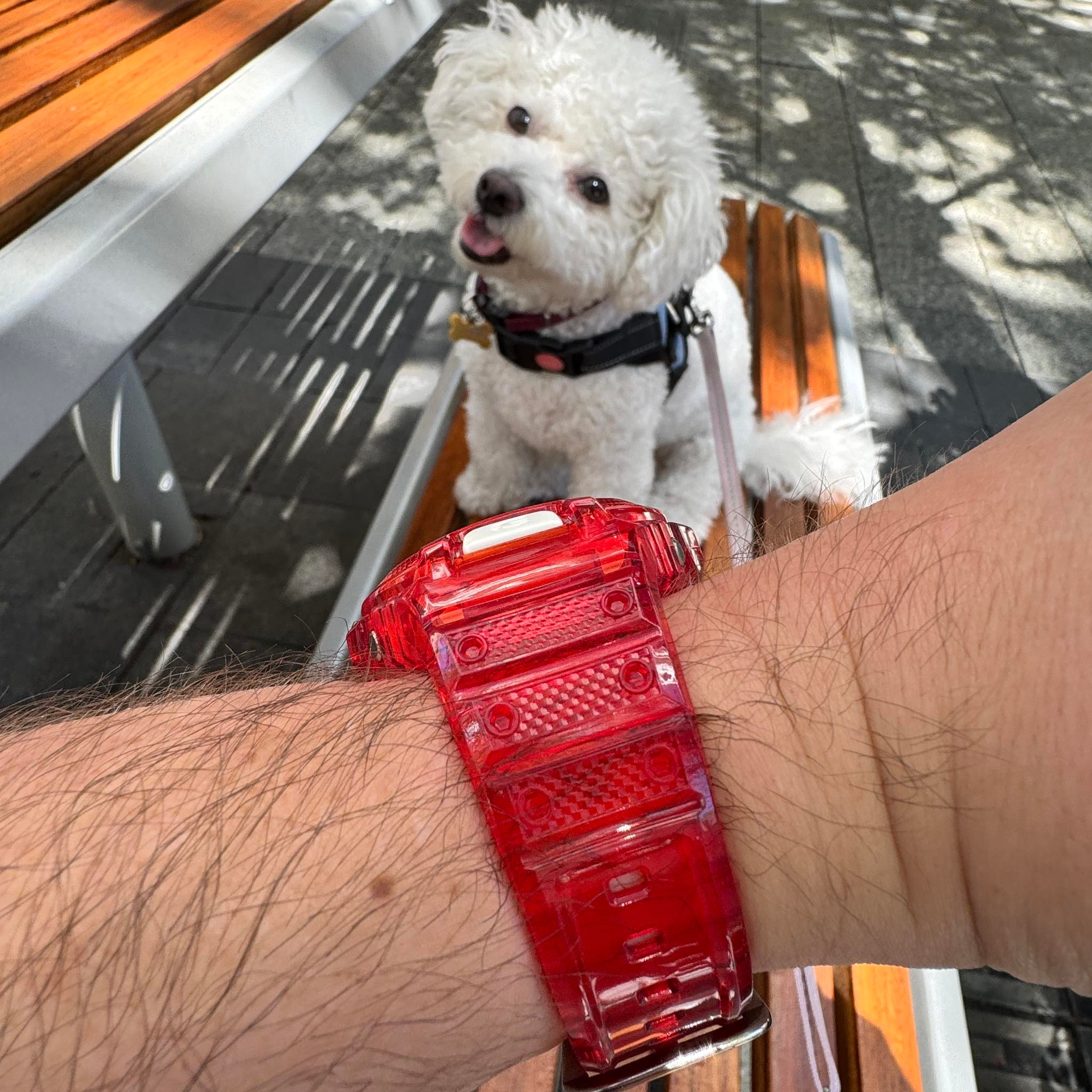 ? G-Shock DW-6900