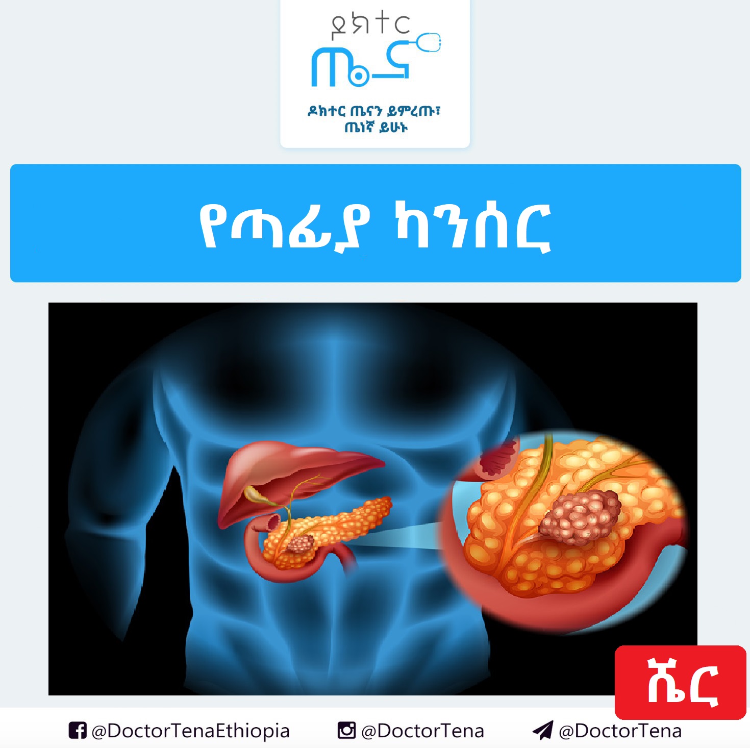 Doctor Tena - 👉👉👉 ከፍተኛ የደም ግፊት (Hypertension) 👈👈👈 ከፍተኛ የደም ግፊት ...