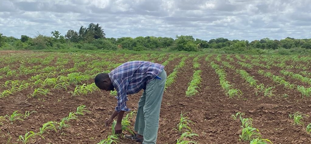 SATG - We are thrilled to see the impactful seed project come to ...