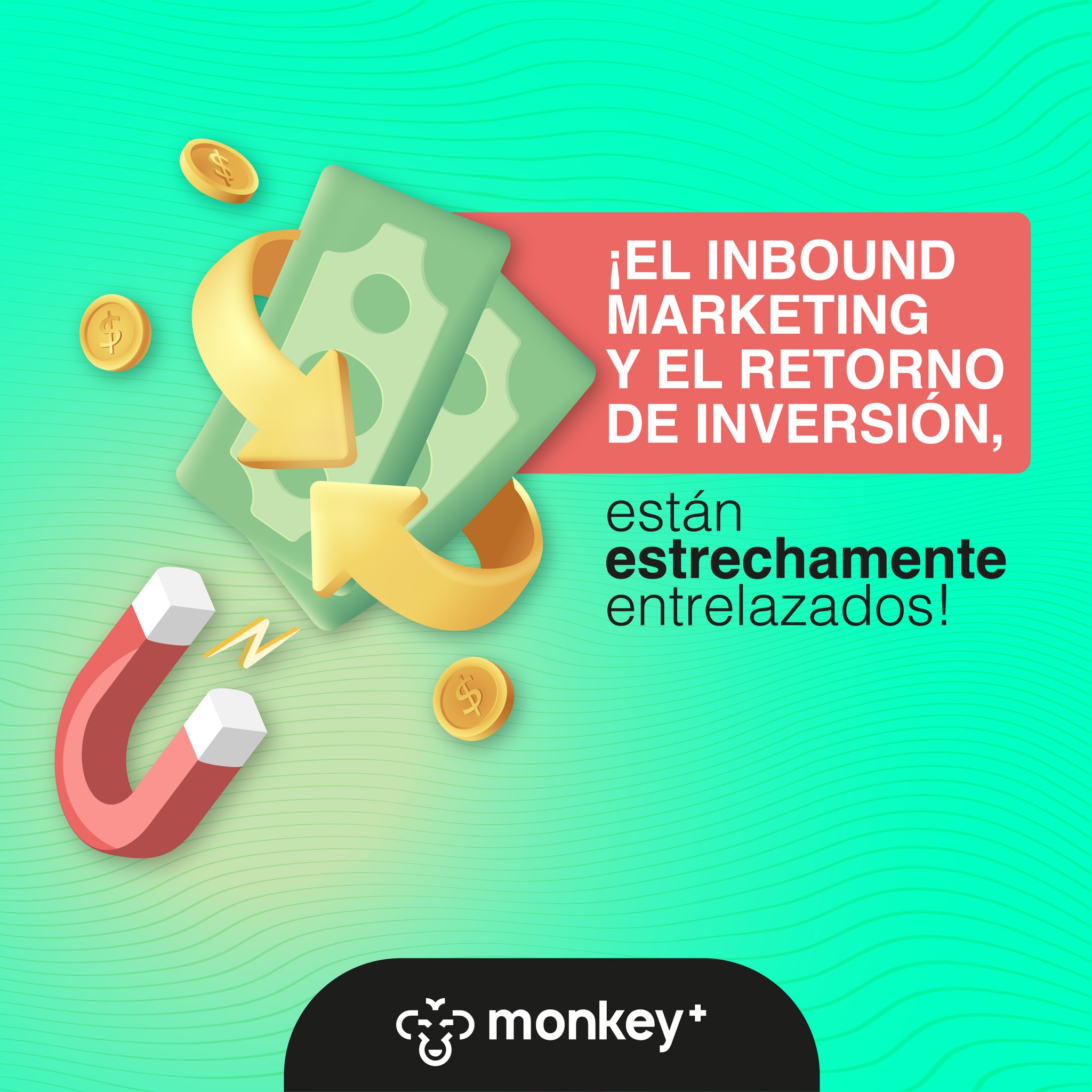 🧲 El... - Monkey Plus Bolivia Agencia de Marketing Digital