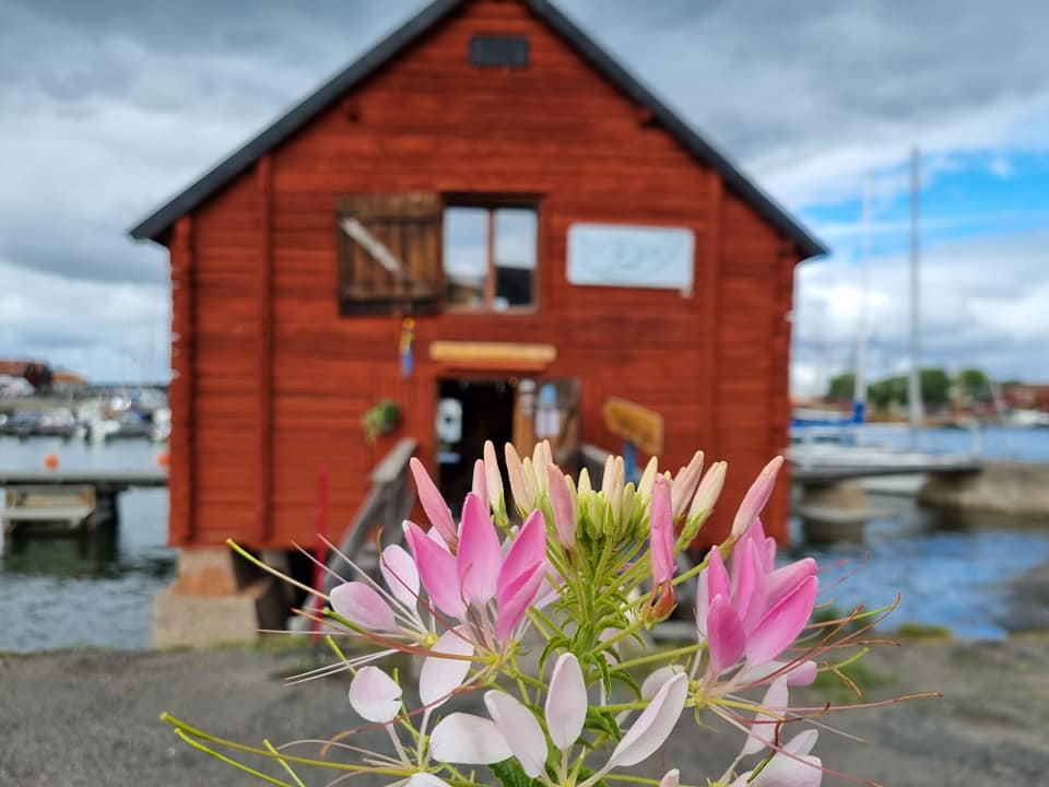 Gräsö Kanotcentral added a new photo. - Gräsö Kanotcentral