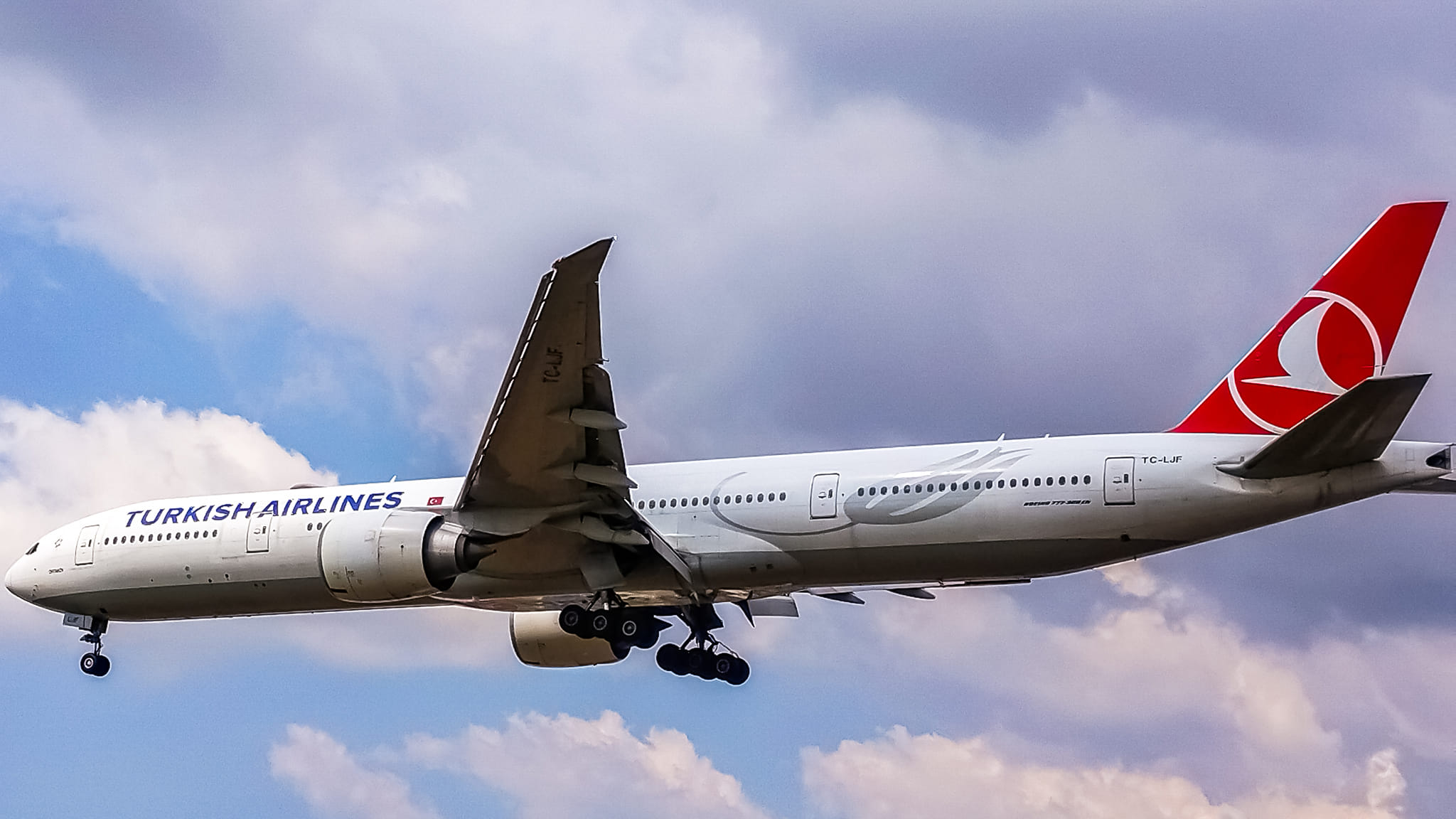 Boeing 787 Dreamliner de Turkish Airlines en el aeropuerto