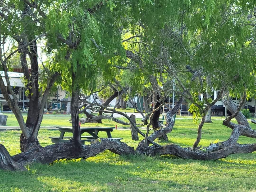 Wilderness Lakes RV Park | Mathis TX