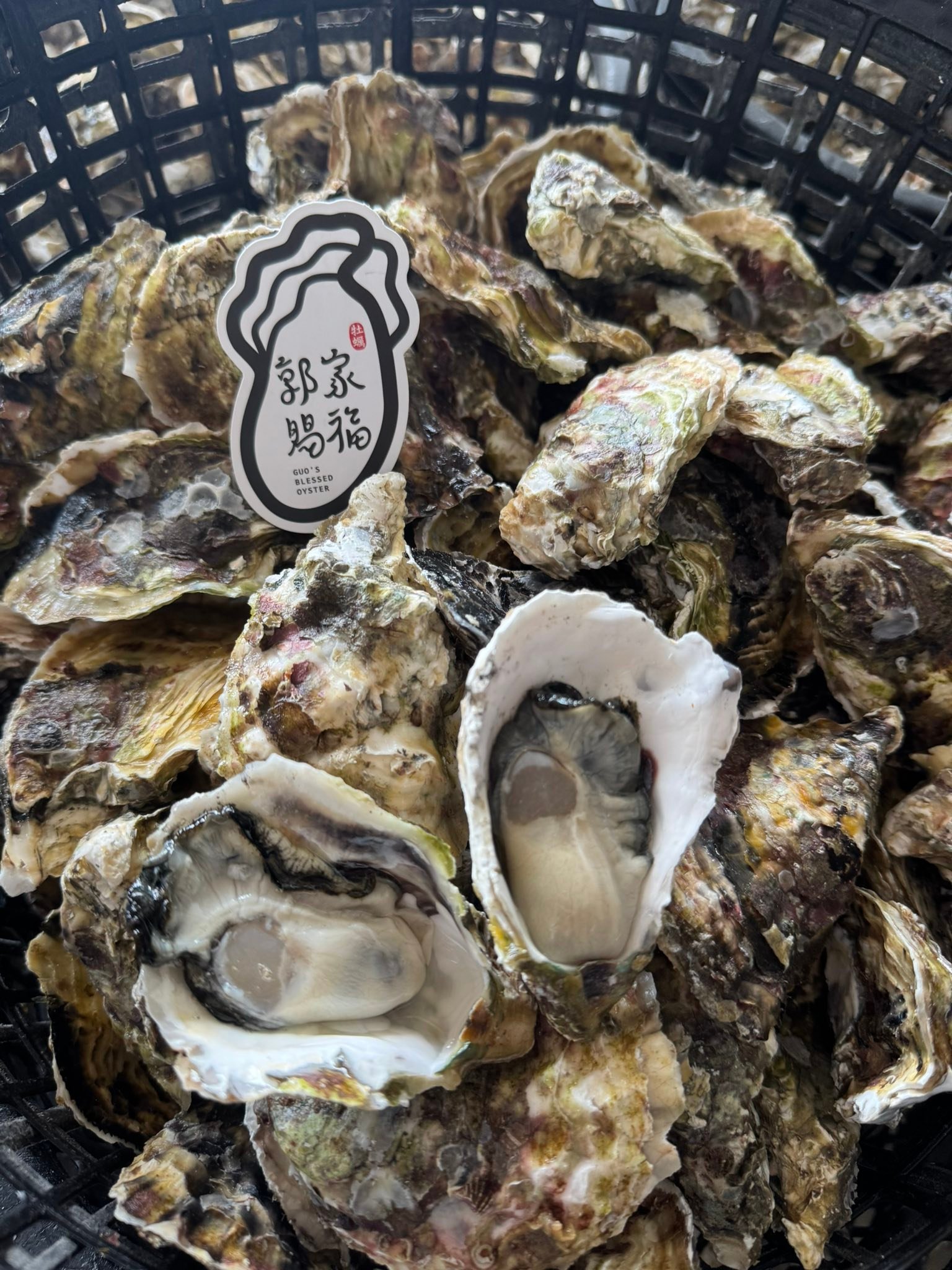 澎湖郭家牡蠣 | Penghu