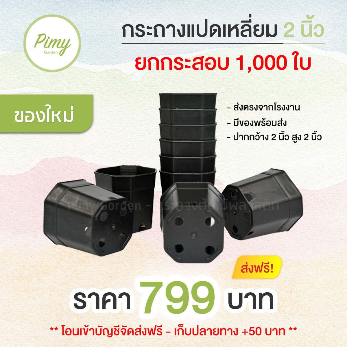 🎊 กระถาง 8 เหลี่ยม 3... - Pimy Garden - กระถางต้นไม้พลาสติก