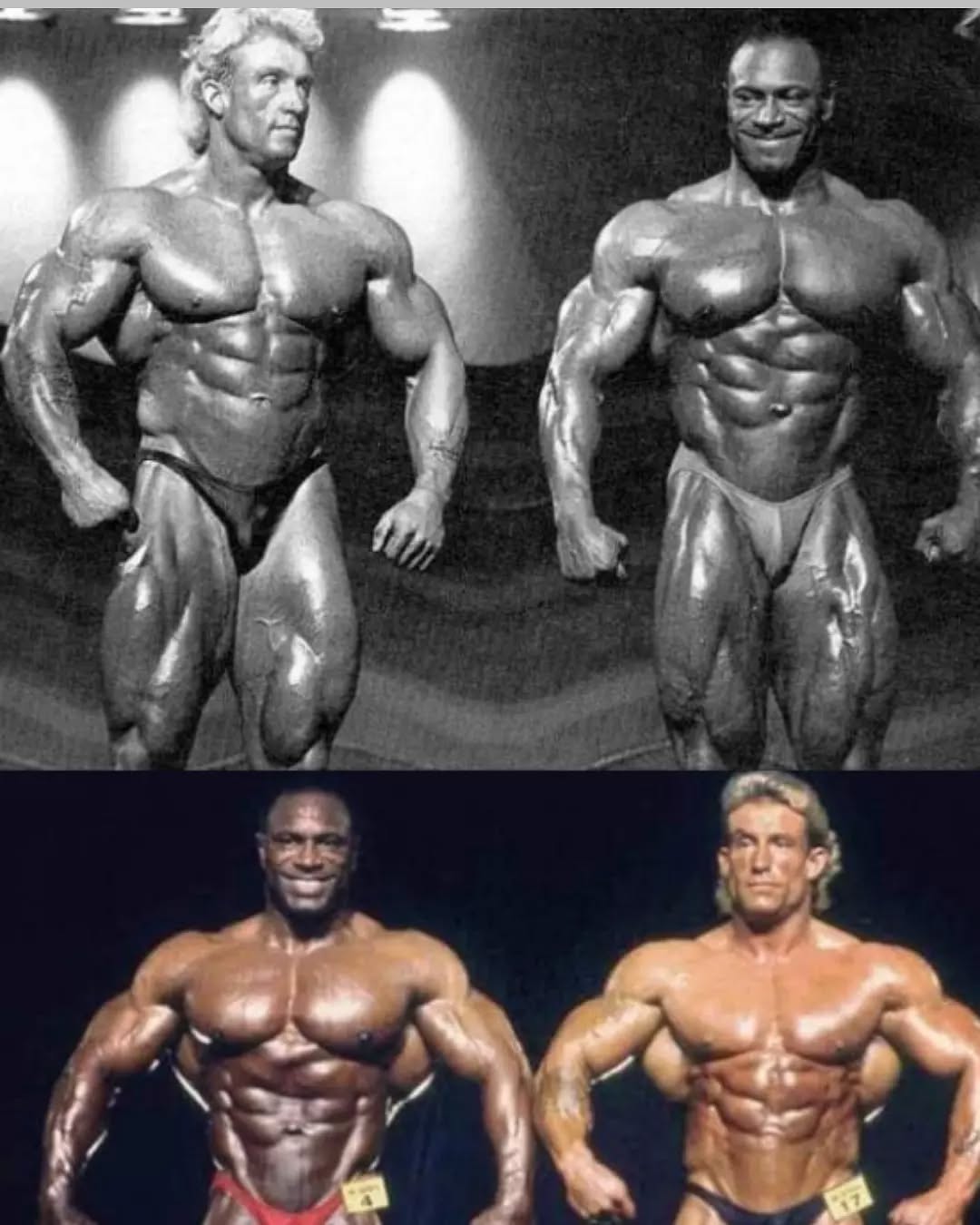 1991 MR.OLYMPIA ‼️‼️💯 TOP 6: 1.@lee_haney_official 2