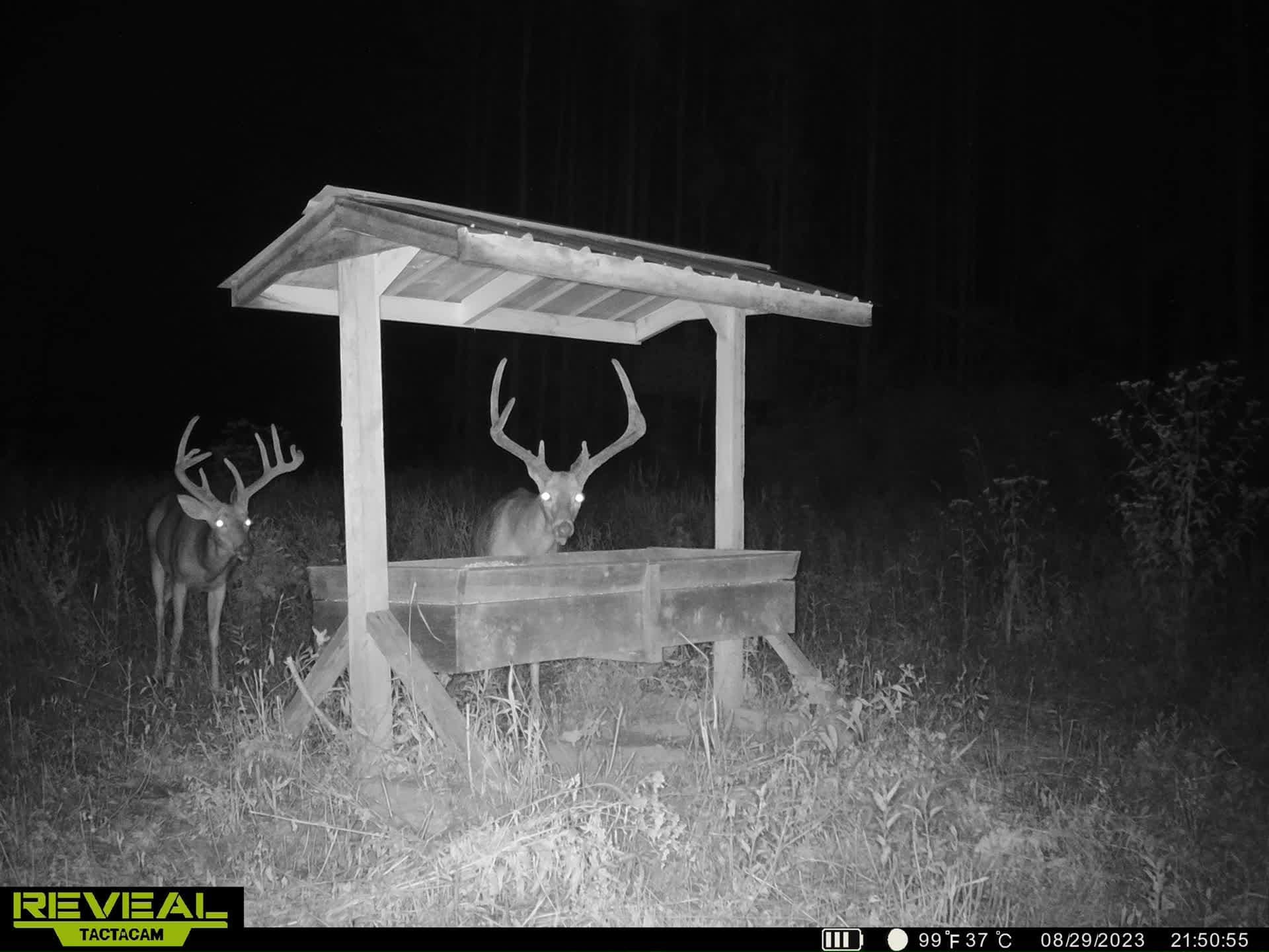 Legacy Land Team - 155 Acres in Caneyville, Ky! This 155 Acres is just ...