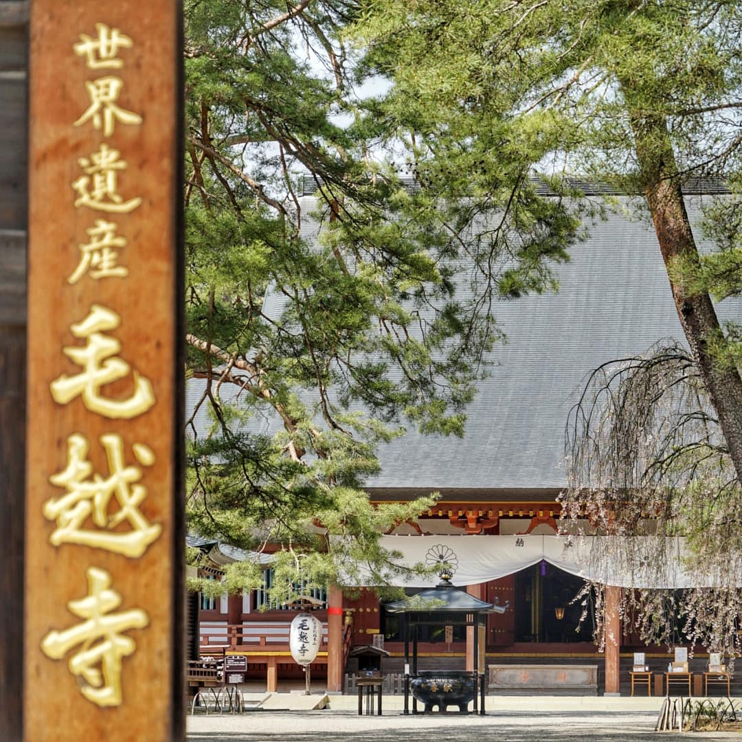 偷米A飛去遊來走世界 , 「途风旅游Toursforfun」 – CFELMB