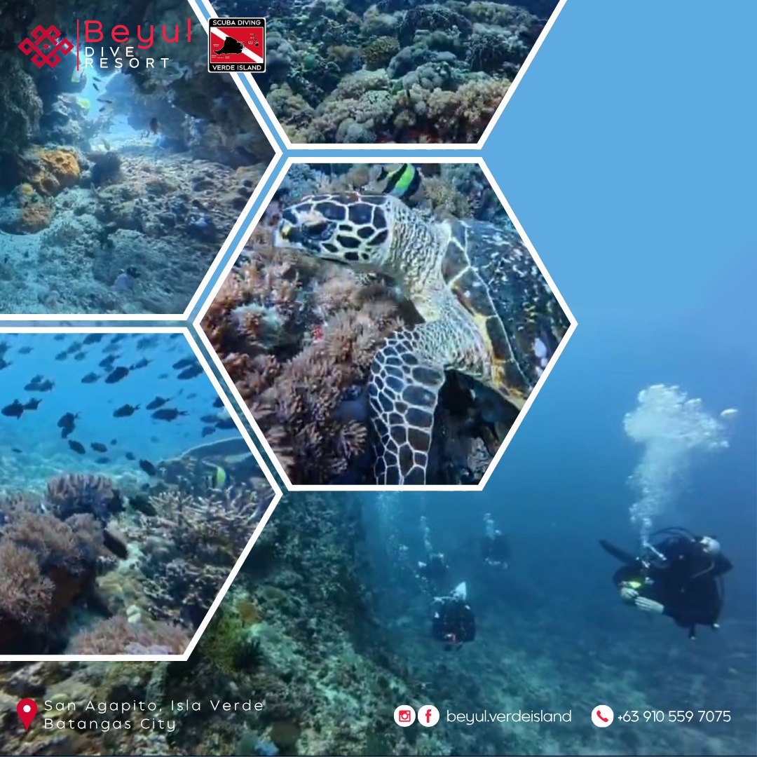 Beyul - 𝗩 𝗜 𝗦 𝗜 𝗧 | 𝗕 𝗘 𝗬 𝗨 𝗟 𝗩 𝗜 𝗦 𝗜 𝗧 | 𝗩 𝗘 𝗥 𝗗 𝗘 𝗜 𝗦 𝗟 𝗔 𝗡 𝗗 ...