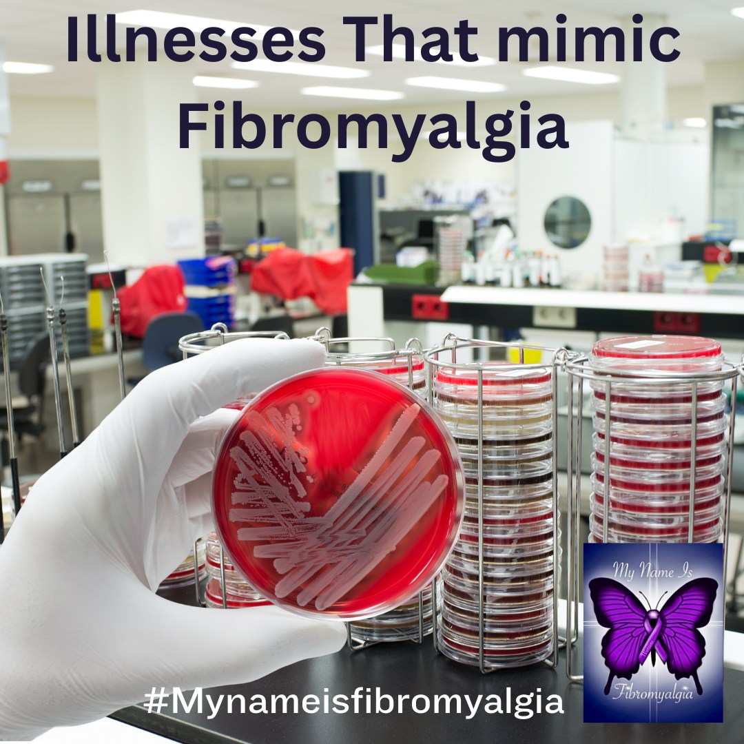 My - Illnesses That Mimic Fibromyalgia What Illnesses mimic ...