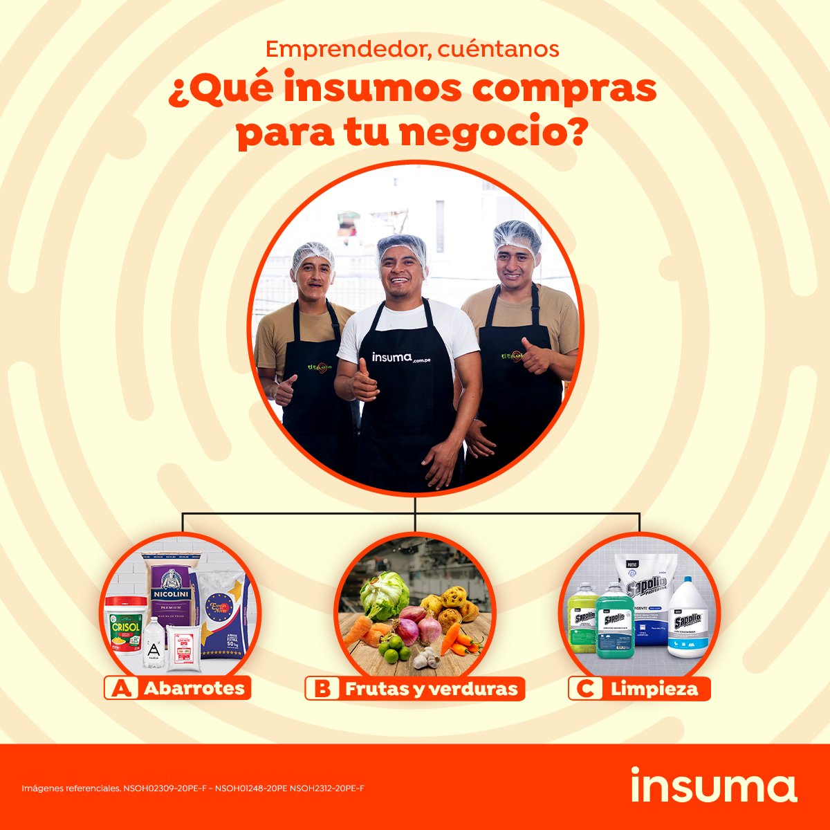 Insuma