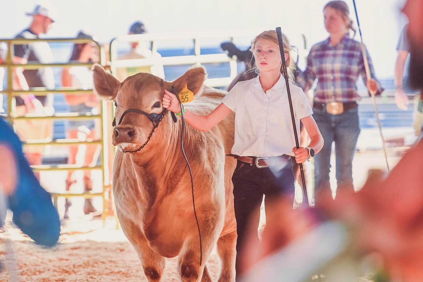 It’s Fair Week for our... - Shasta Farm & Equipment Inc.