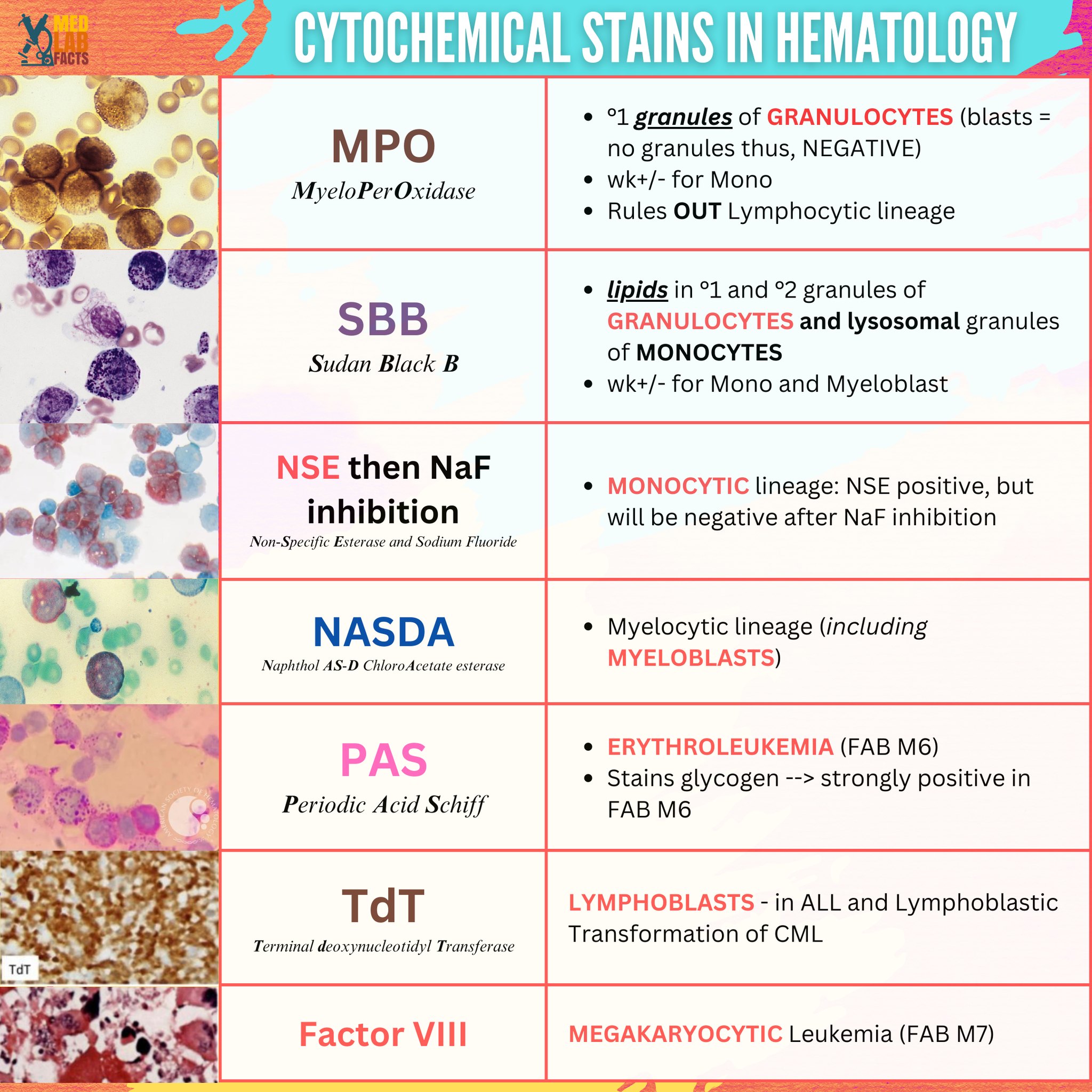 Med Lab Facts - Summary and Mnemonics: Myelocytic: MPO,... | Facebook