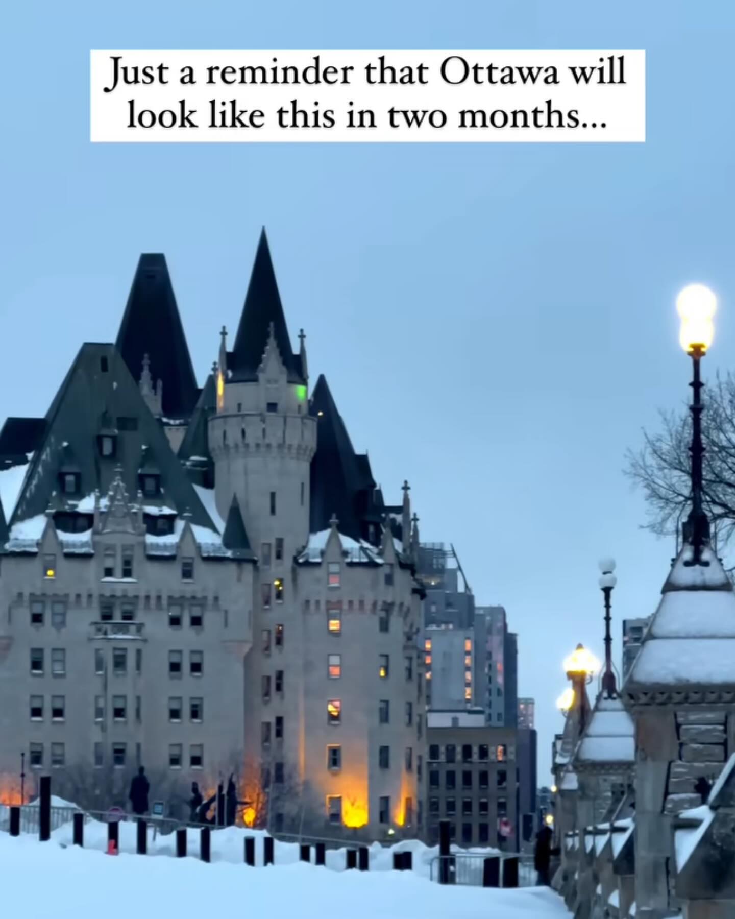 Flagry | Ottawa ON