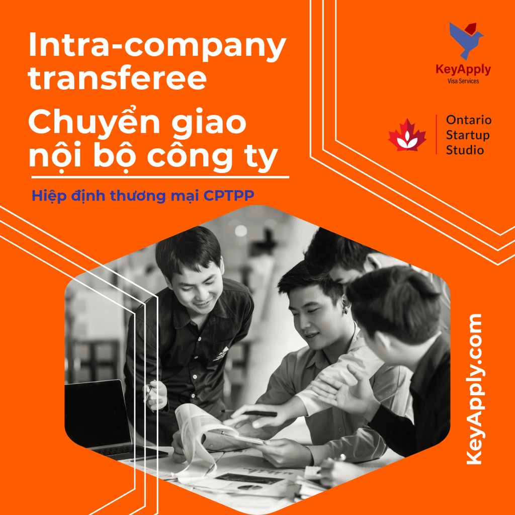KeyApply - 😍 T50 - Intra-company transferee (ICT) theo hiệp định thương ...