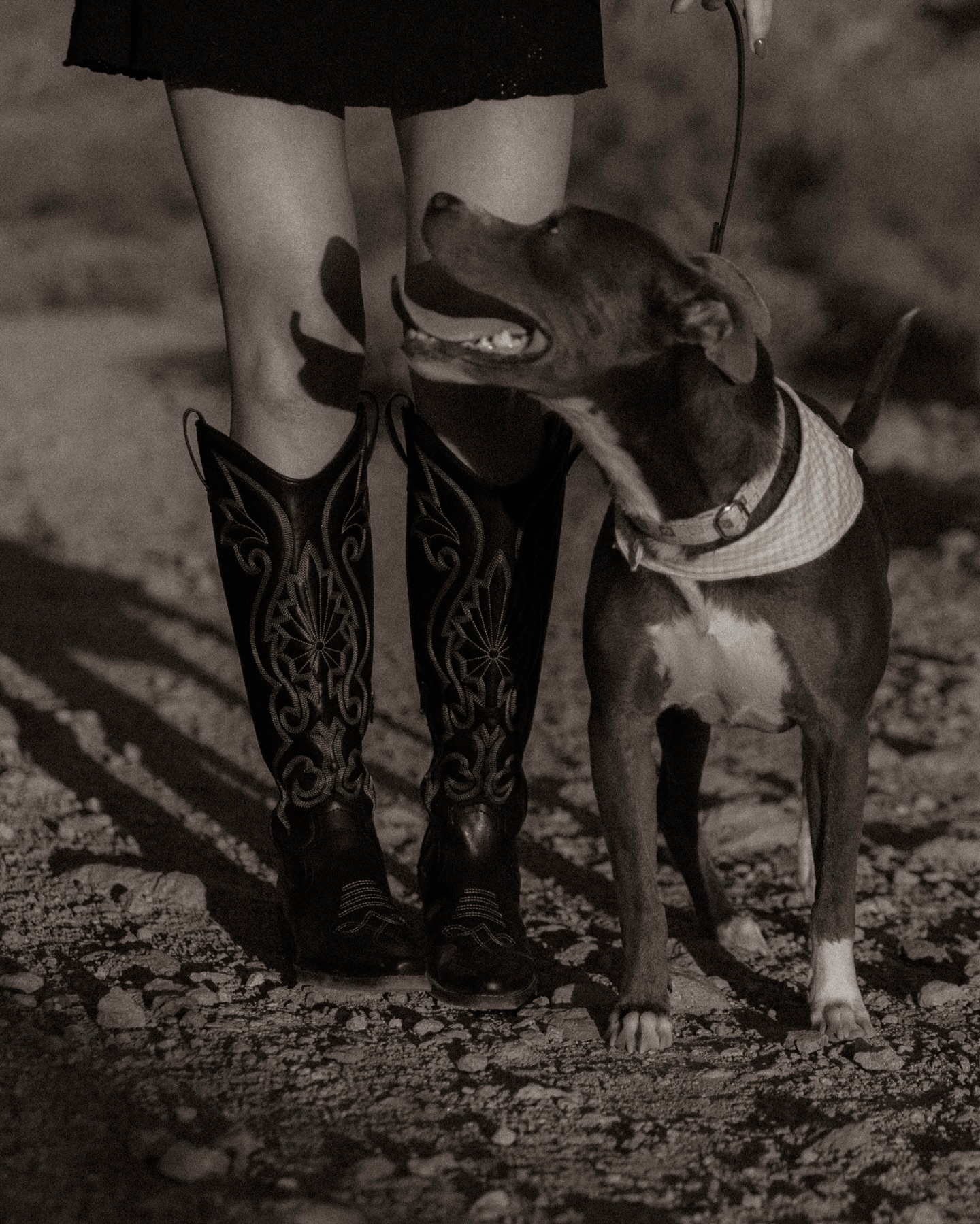 Madisen Ruehle Photography