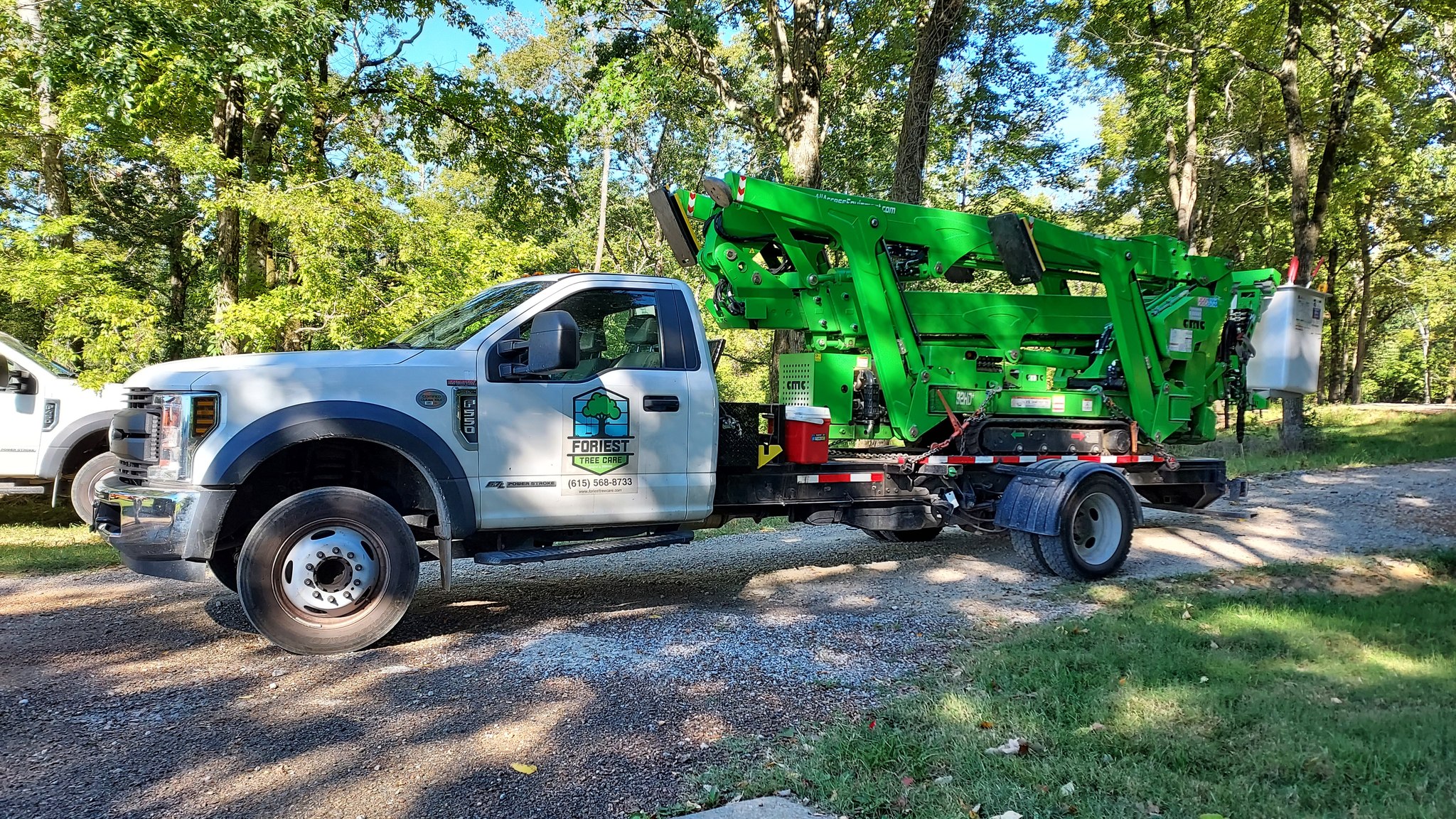 Foriest Tree Care