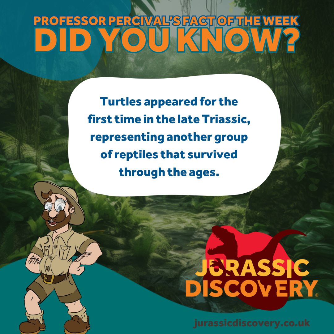 Jurassic - DID YOU KNOW?🔍 Turtles appeared for the first time in the ...