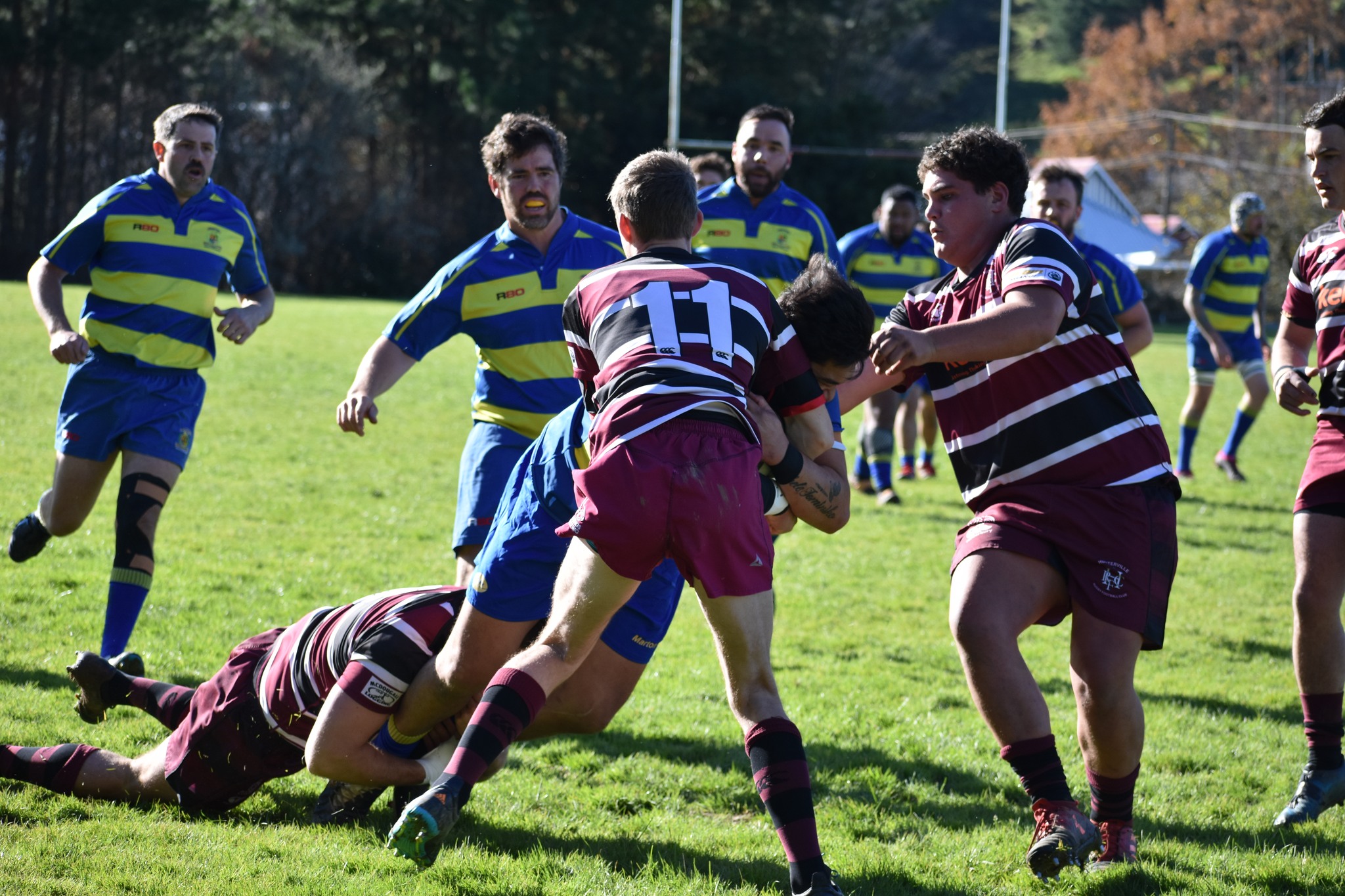 Marton Rugby & Sports Club
