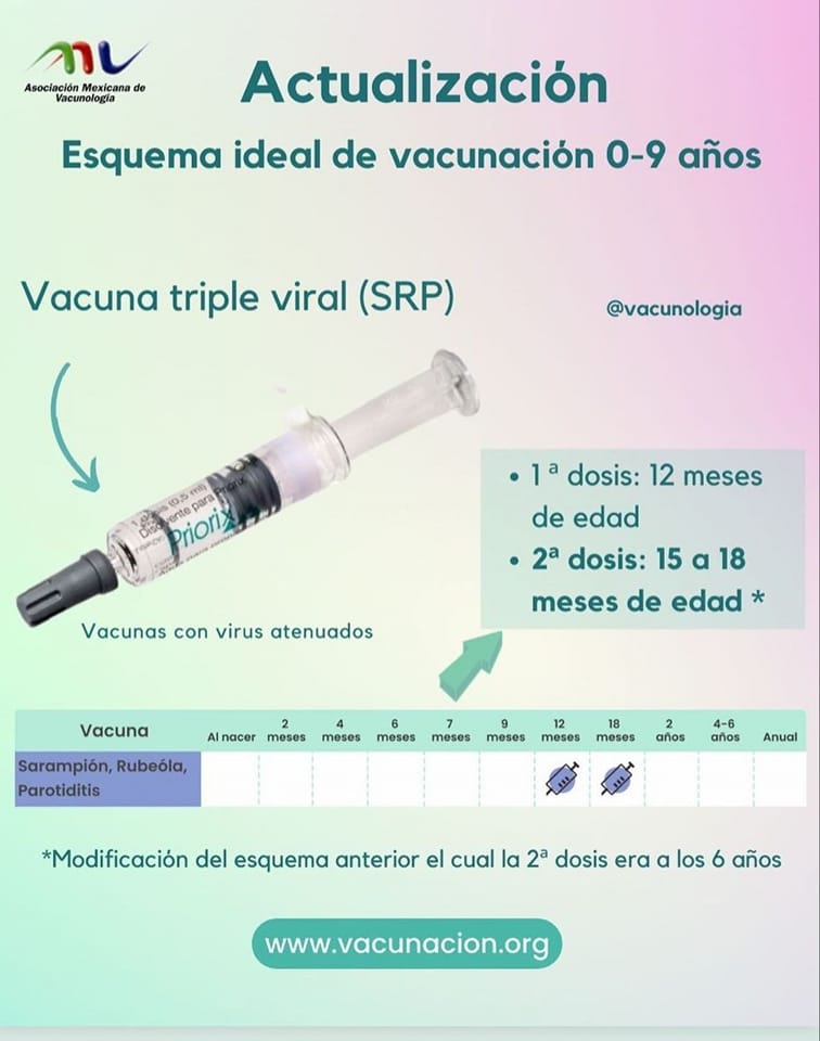 Dra - El esquema de vacunación de la vacuna triple viral cambió ...