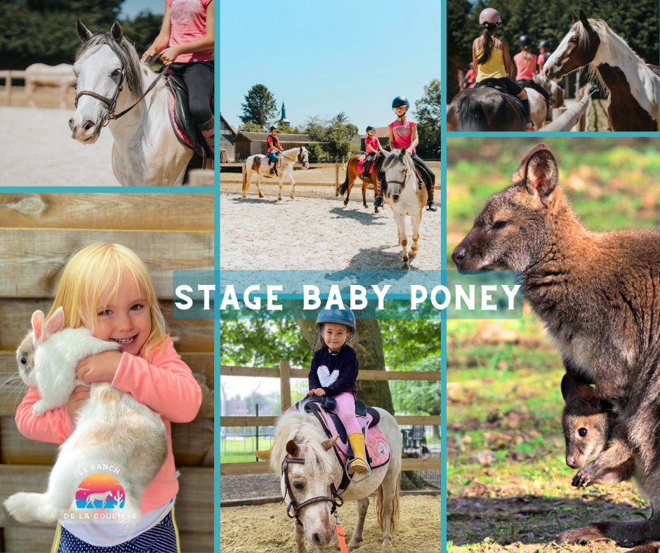 Ranch - 🐰🐴🥰Bienvenue au Ranch de la Coulisse 🥰🐴🐰 Qui sommes-nous ? Le ...