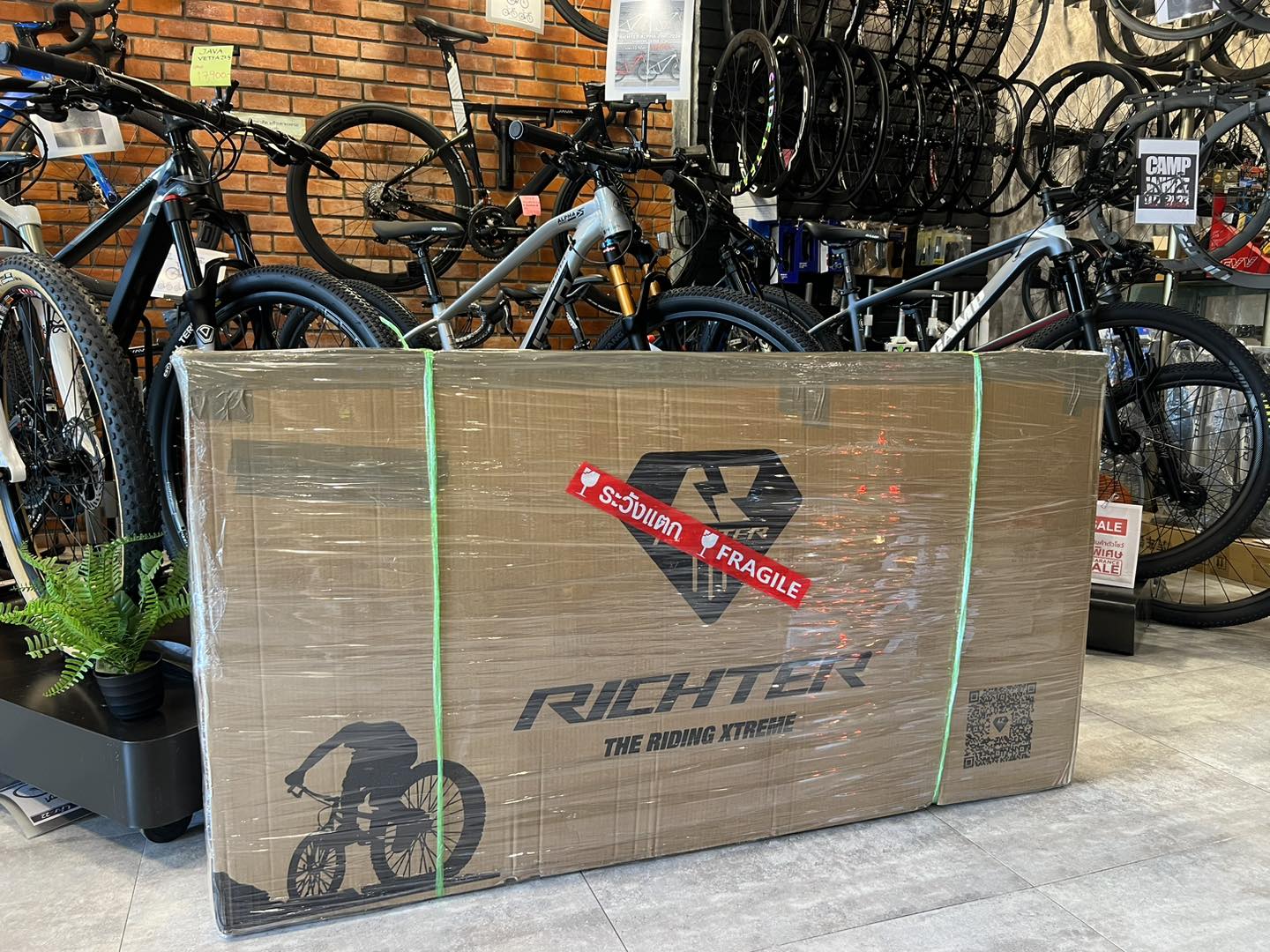 RICHTER BIKE - RICHTER ALPHA 29RE 2024 SHIMANO DEORE 12... | Facebook