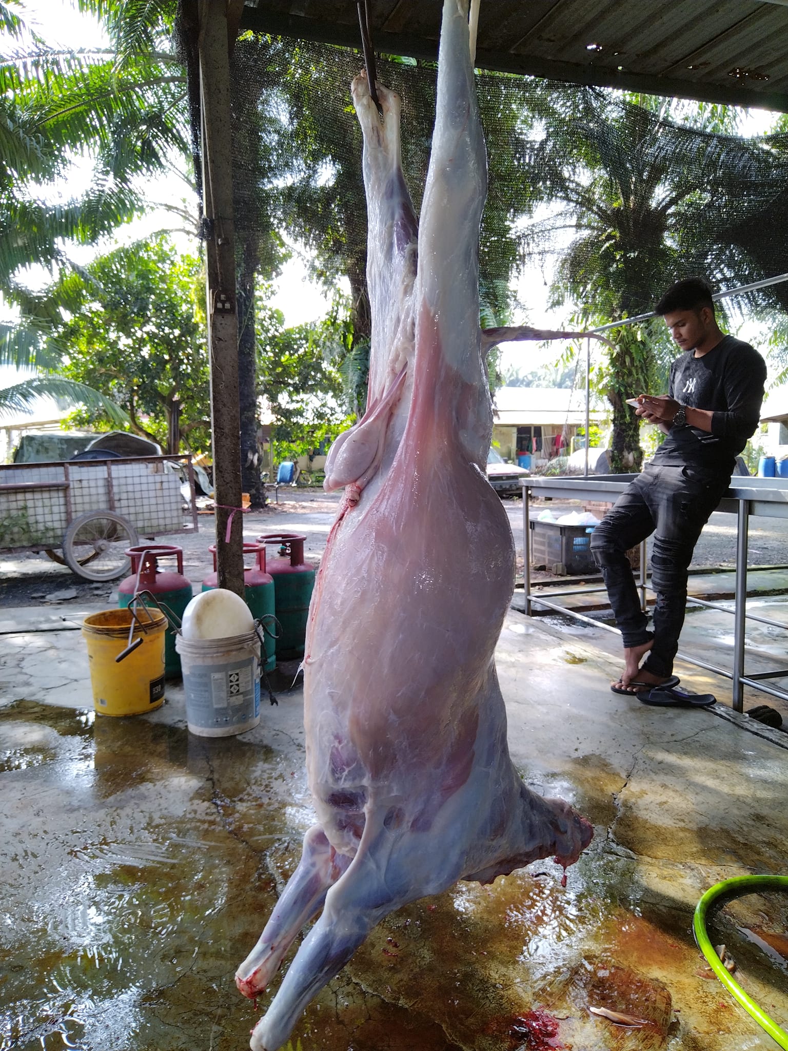 MH mizan enterprise | Banting