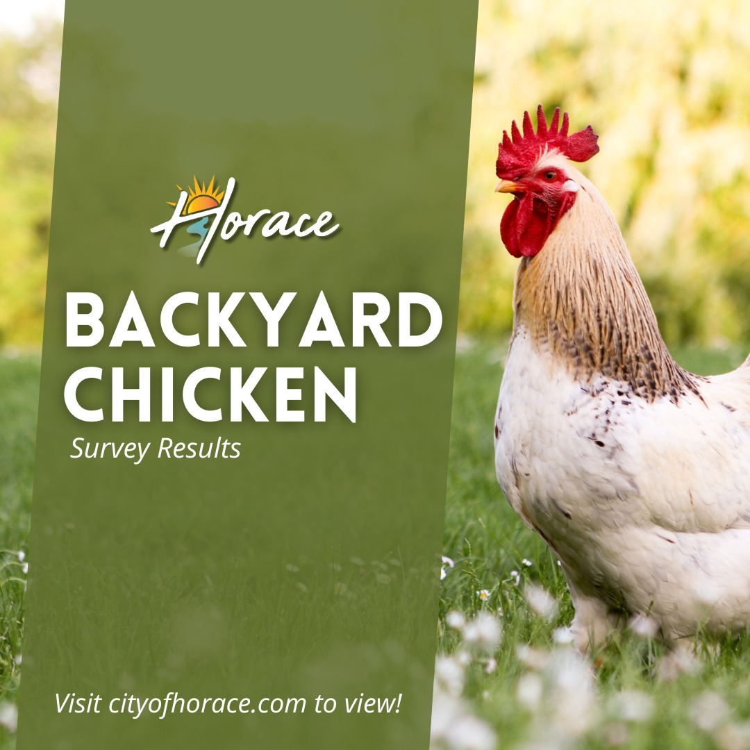 City - The results from our Backyard Chicken Community Input survey are ...