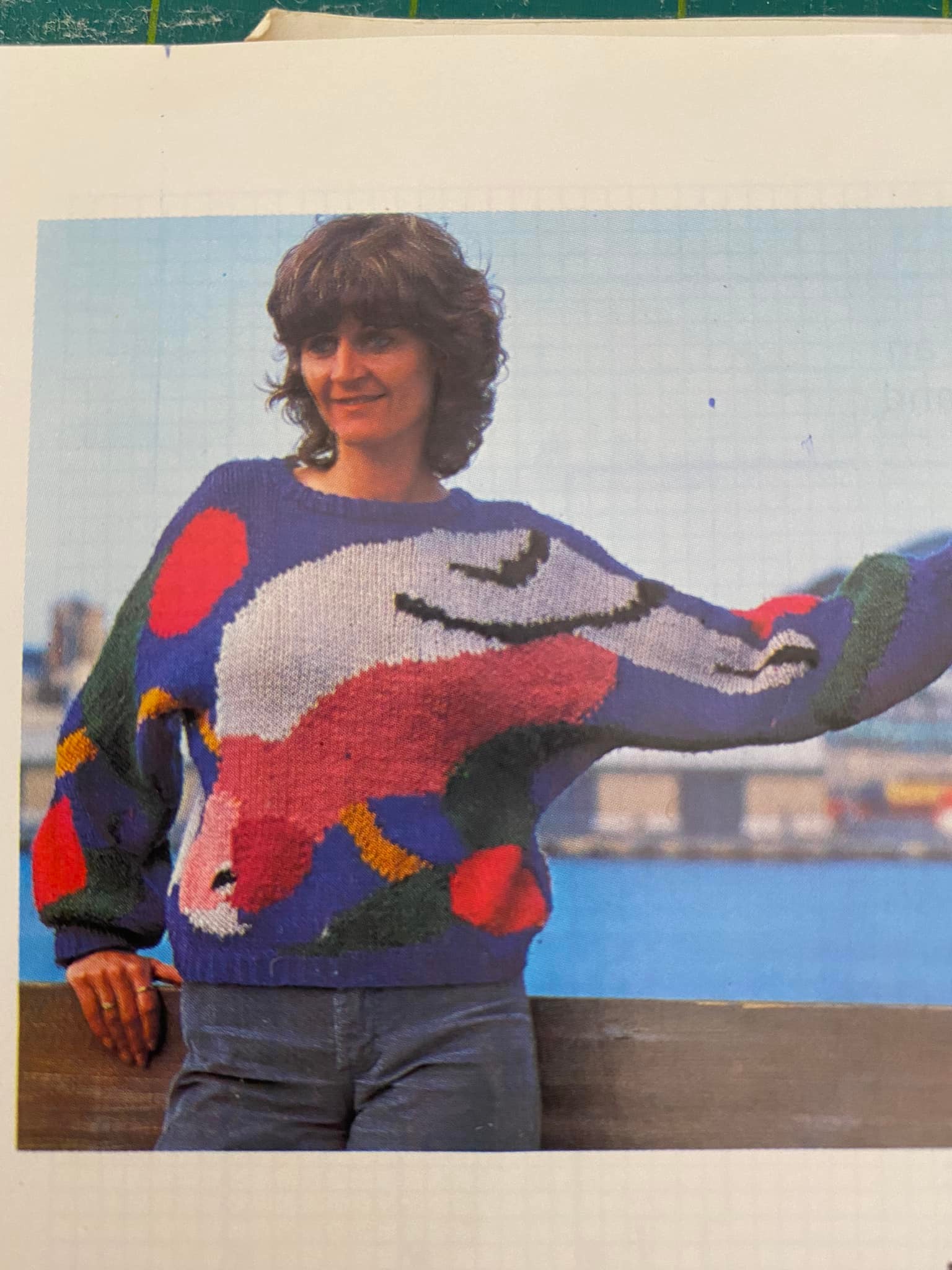 Knitted Jumper from 1980s Pattern Book