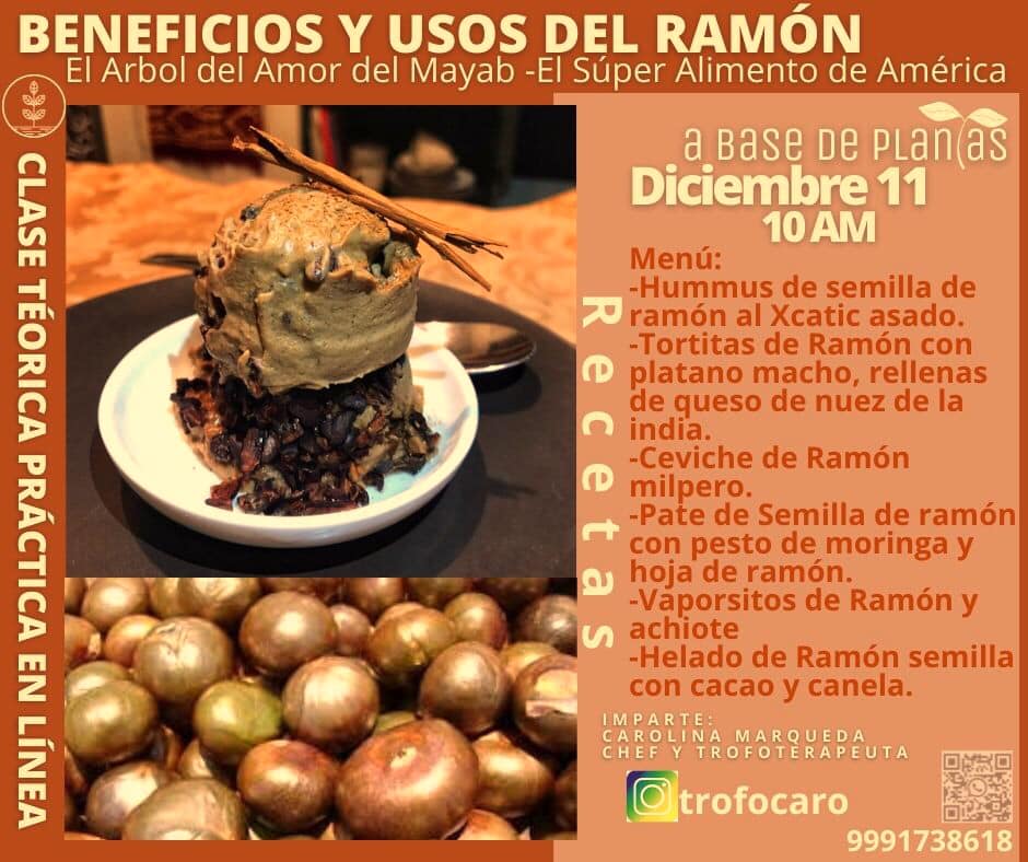 Gastronomía - Clases en línea Beneficios y usos del Ramón El árbol del ...