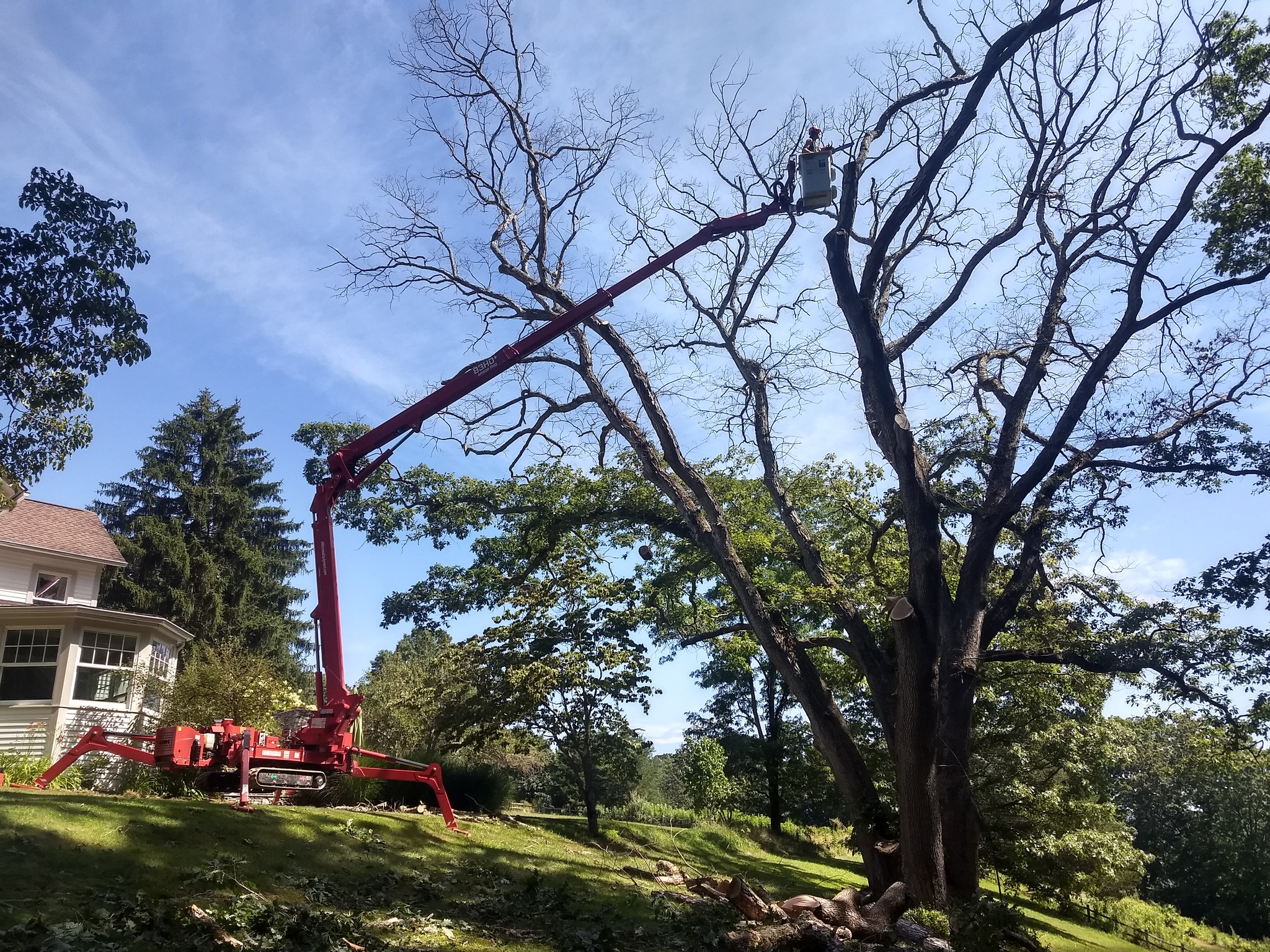 Cockaponset Tree Service | Haddam CT